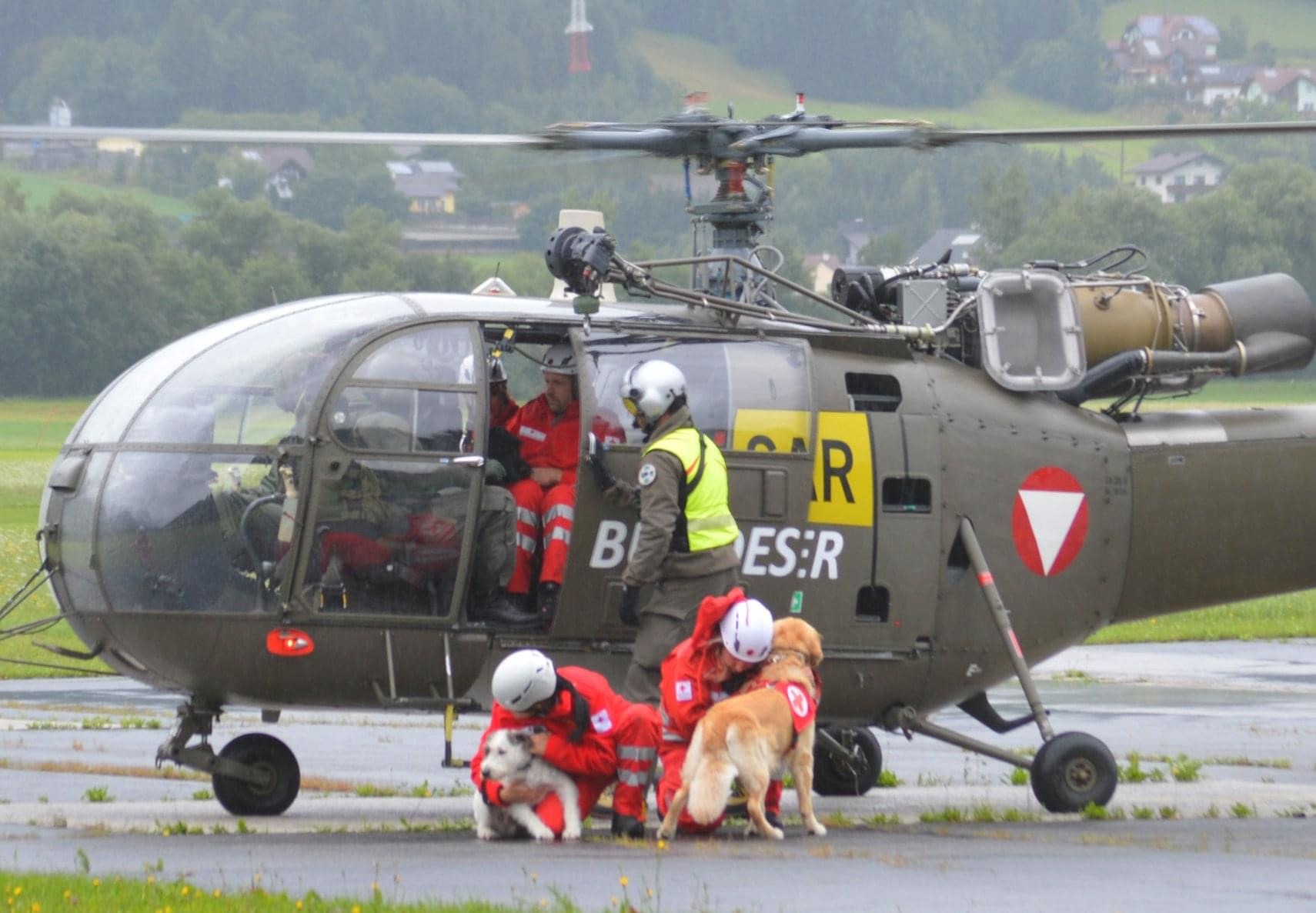Rettungshund Herr Mütze kämpft gegen Krebs – bitte helft ♥️ campaign photo, 2 of 7