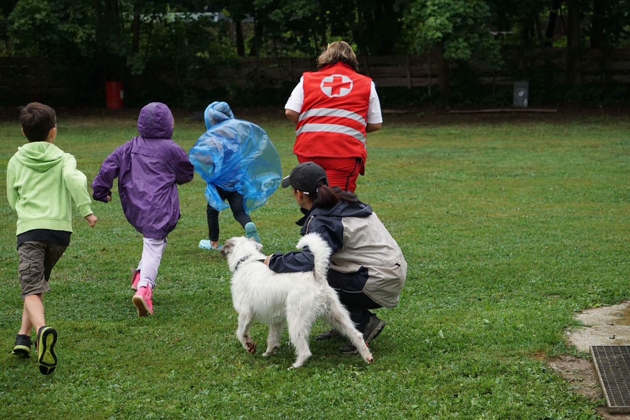 Rettungshund Herr Mütze kämpft gegen Krebs – bitte helft ♥️ campaign photo, 6 of 7