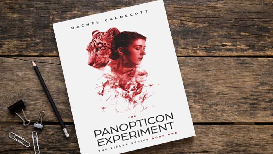 Pursuing my dream at a Rocaberti Writers Retreat photo