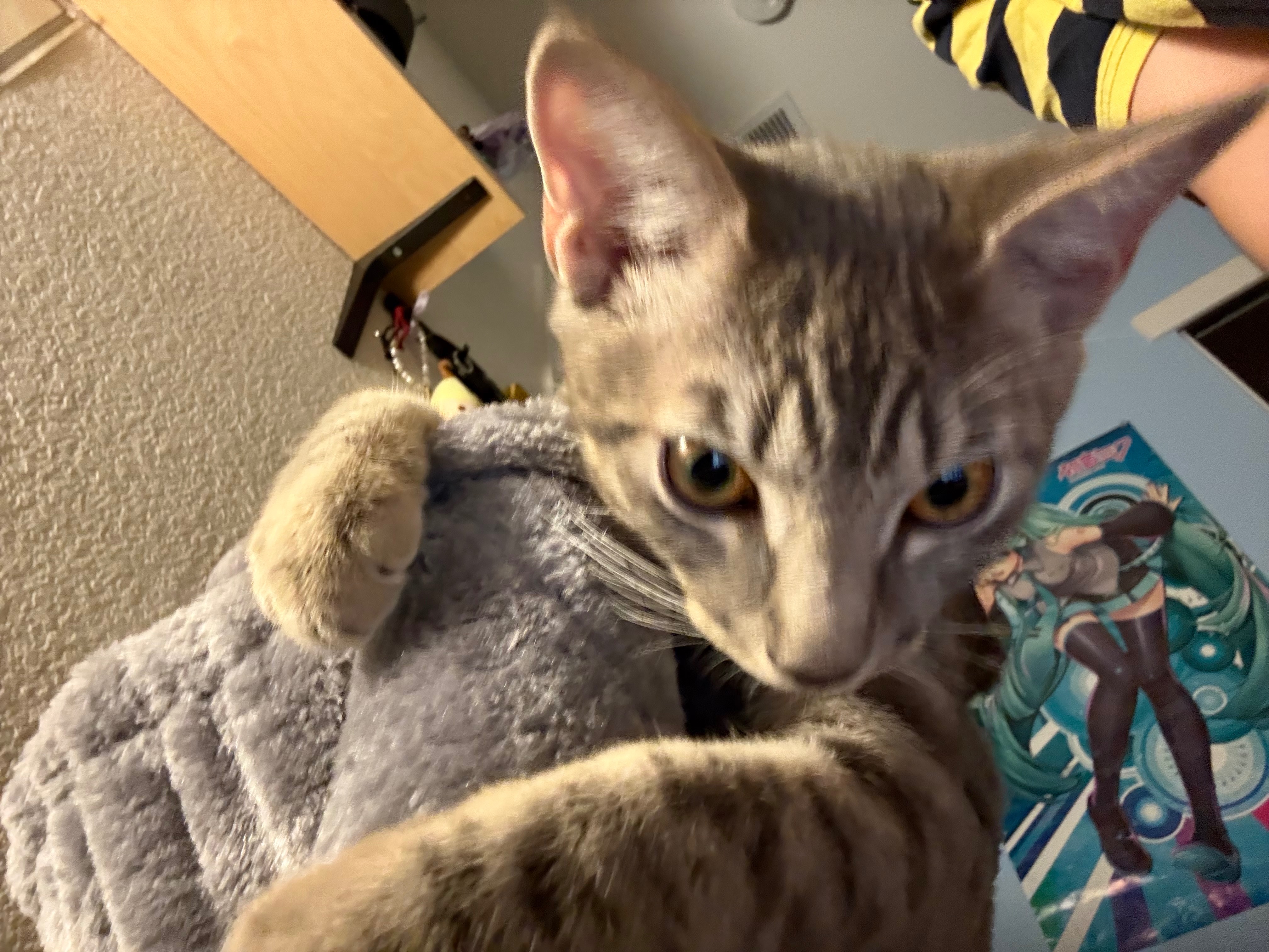 User-uploaded image 3