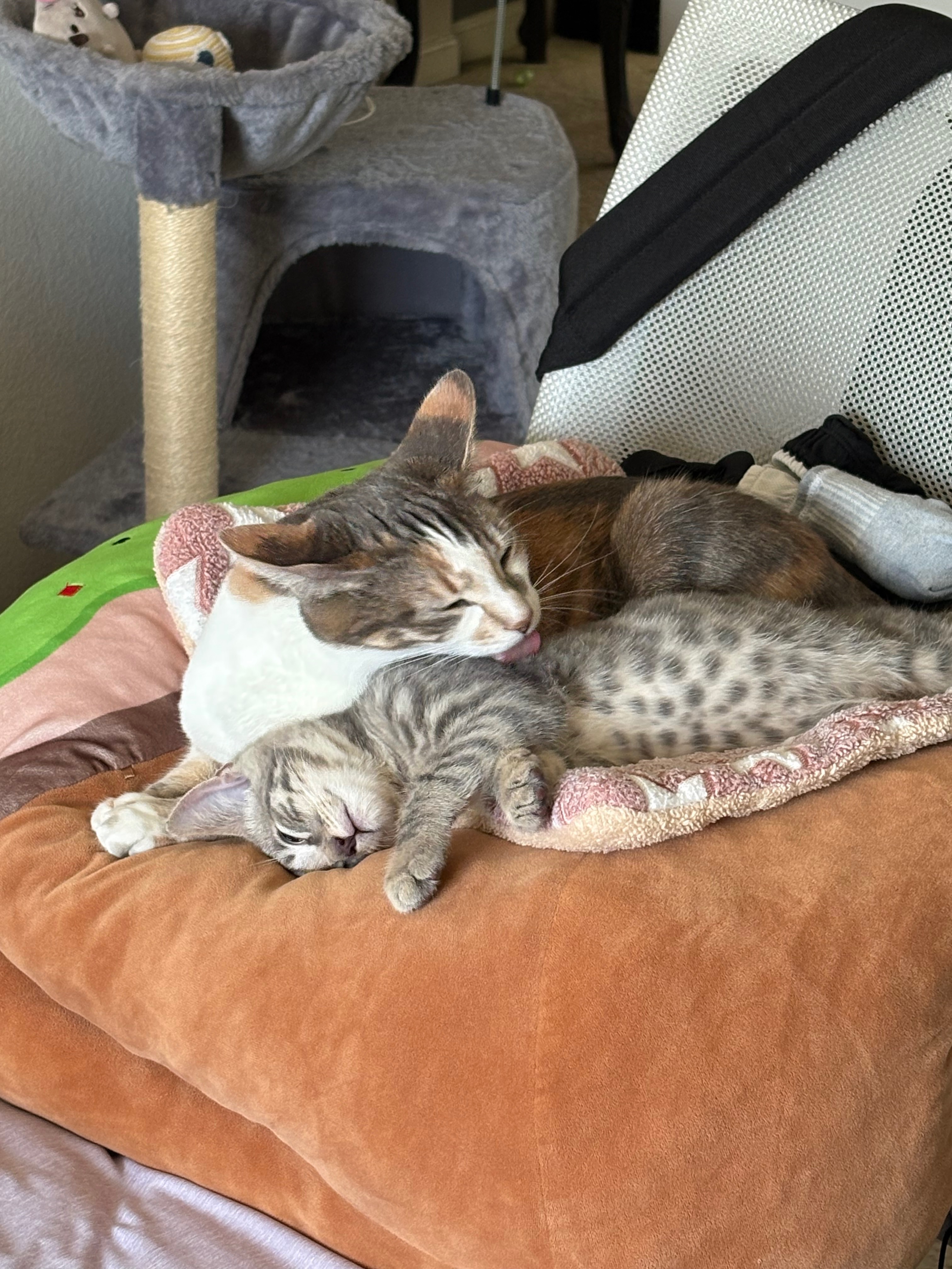 User-uploaded image 4