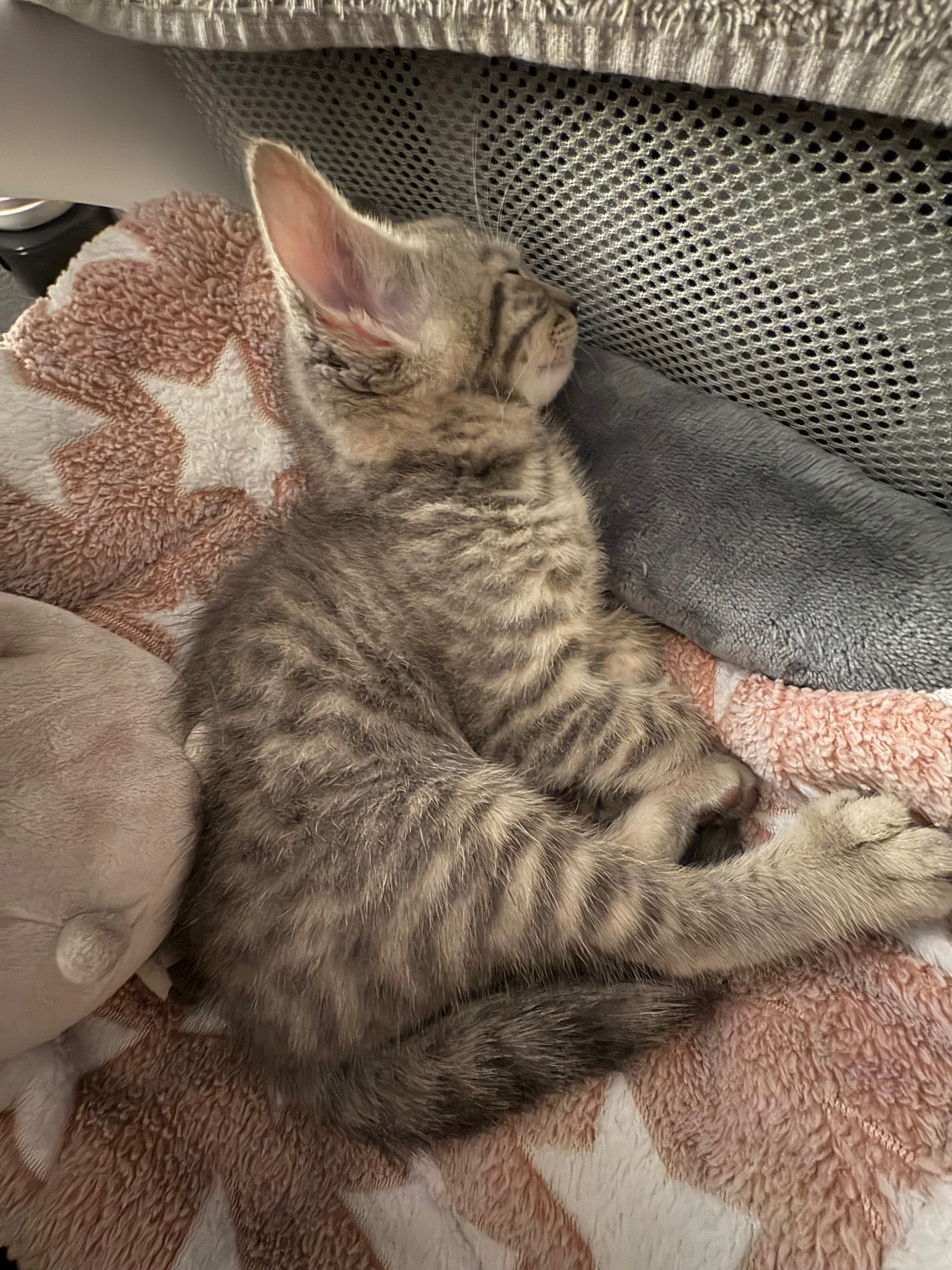 User-uploaded image 5