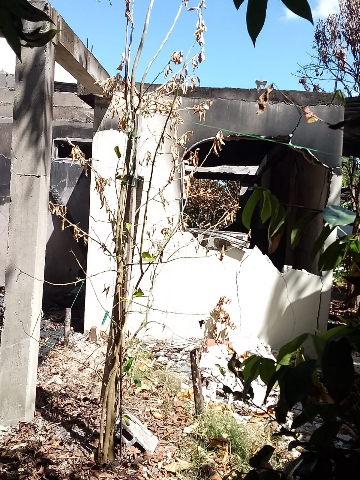 Help My Mom Rebuild After a Devastating Fire in Guyana campaign photo, 2 of 7