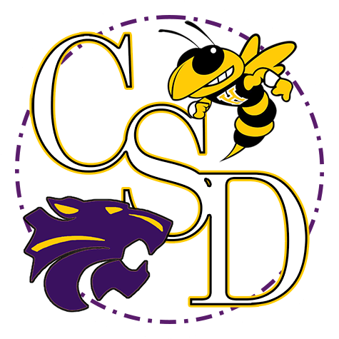 User-uploaded image 1