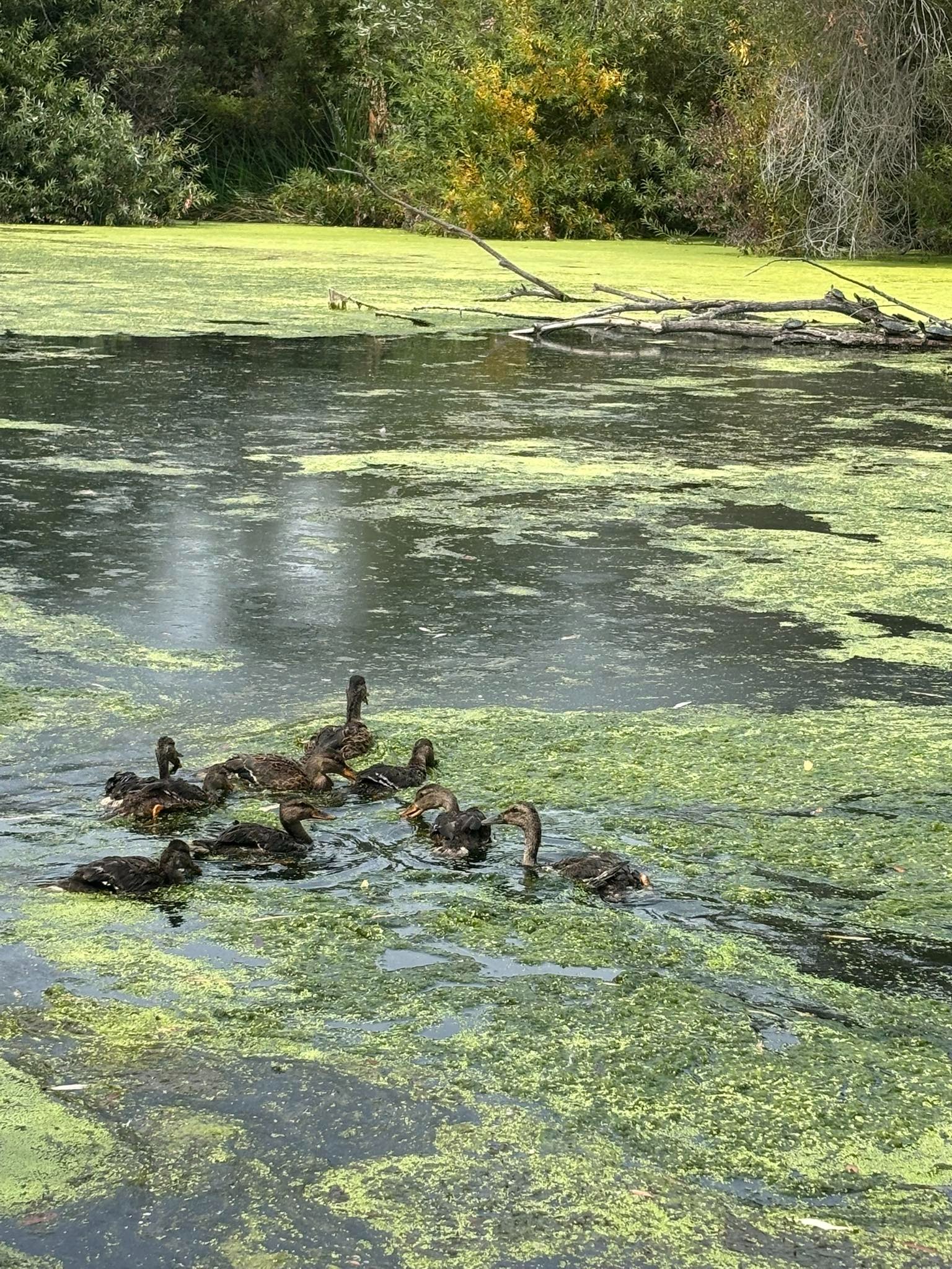 User-uploaded image 1