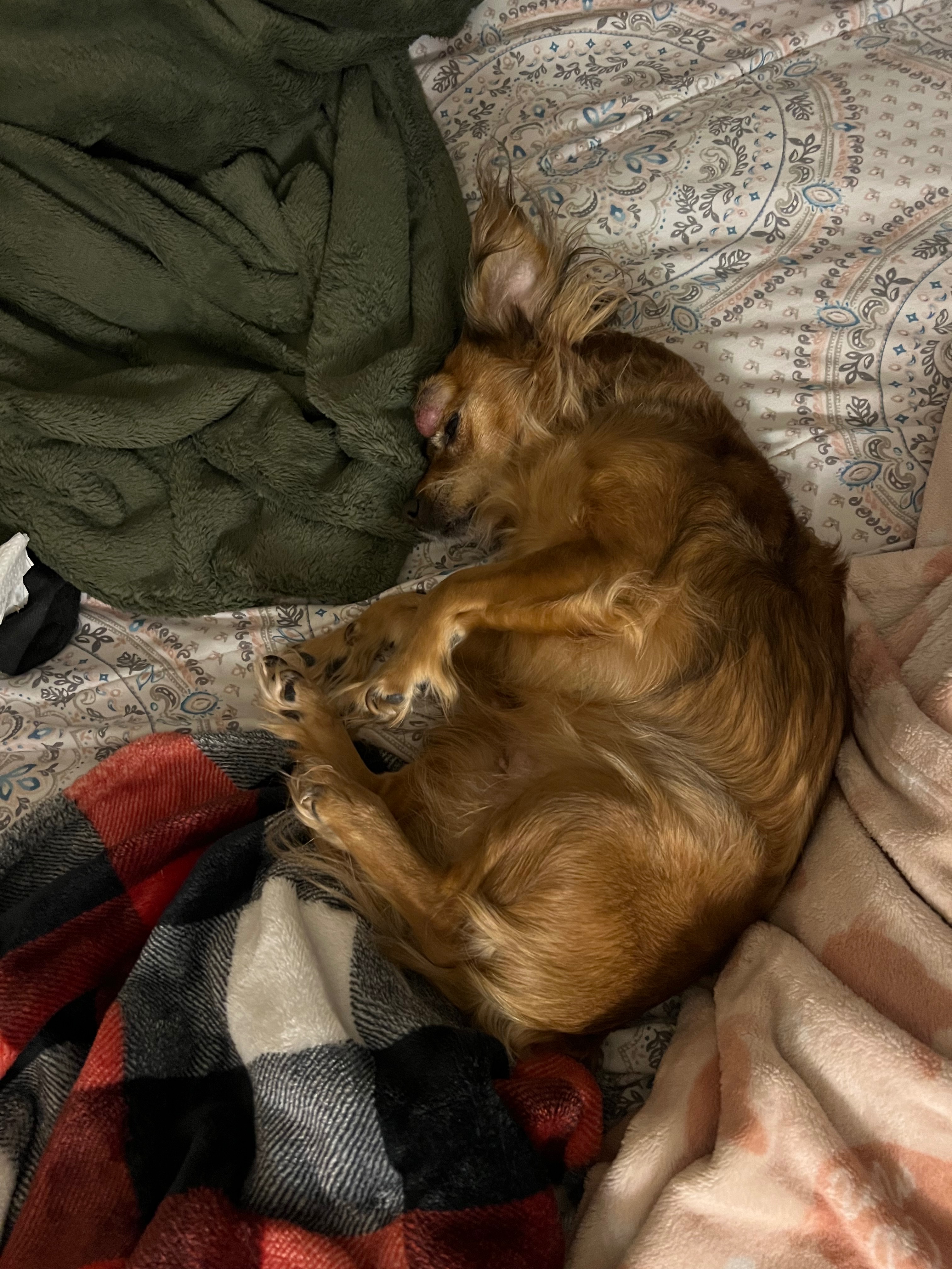 Help Chloe Overcome Her Tumor campaign photo, 7 of 8