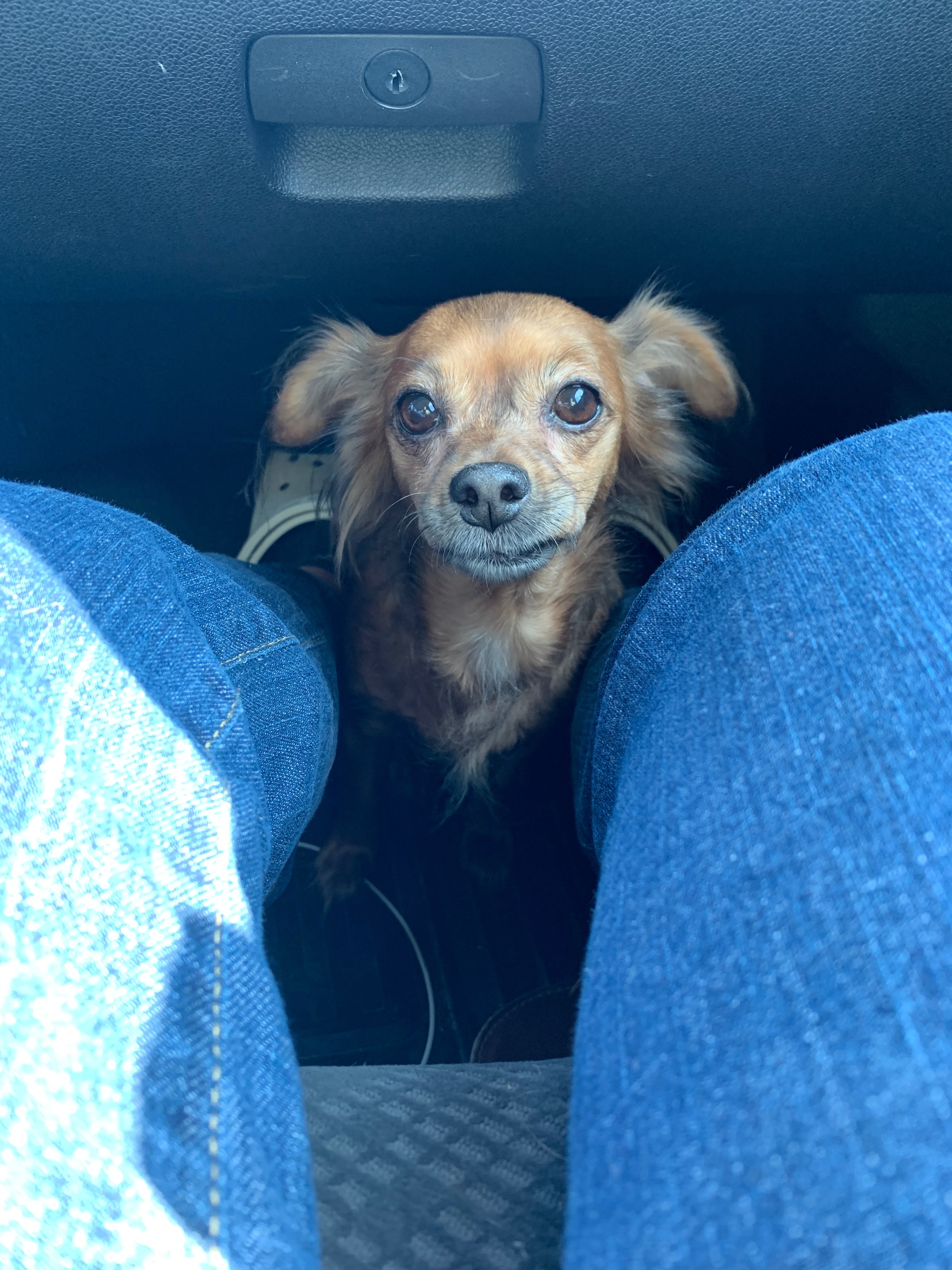 Help Chloe Overcome Her Tumor campaign photo, 4 of 8
