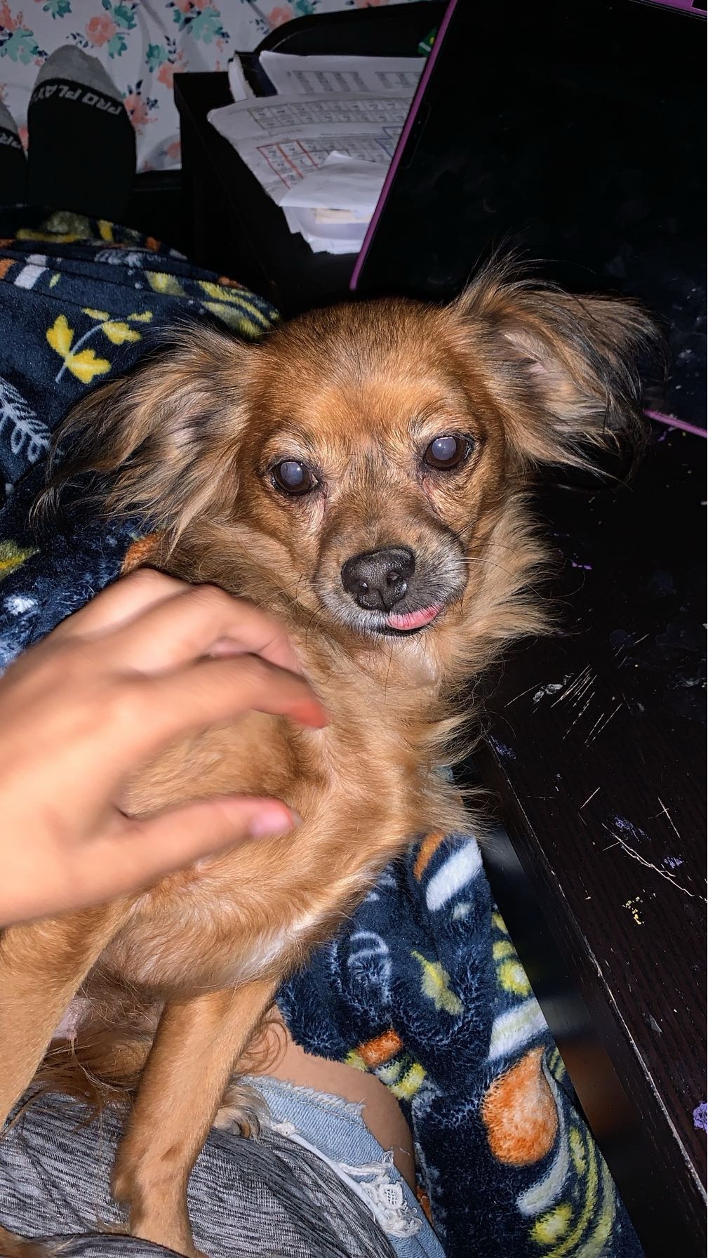 Help Chloe Overcome Her Tumor campaign photo, 5 of 8