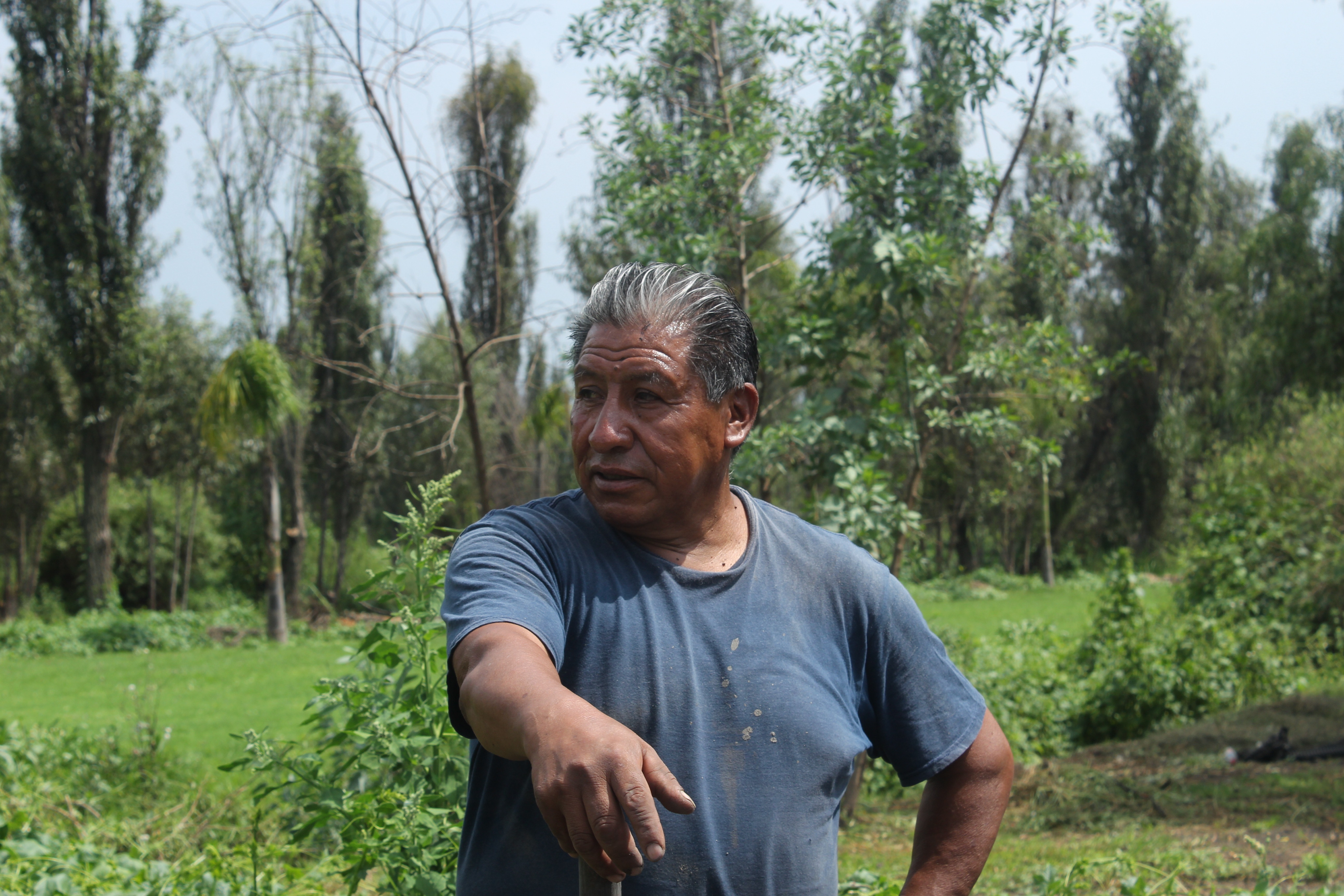 Salvemos Xochimilco: Raíces que Dan Vida campaign photo, 4 of 7