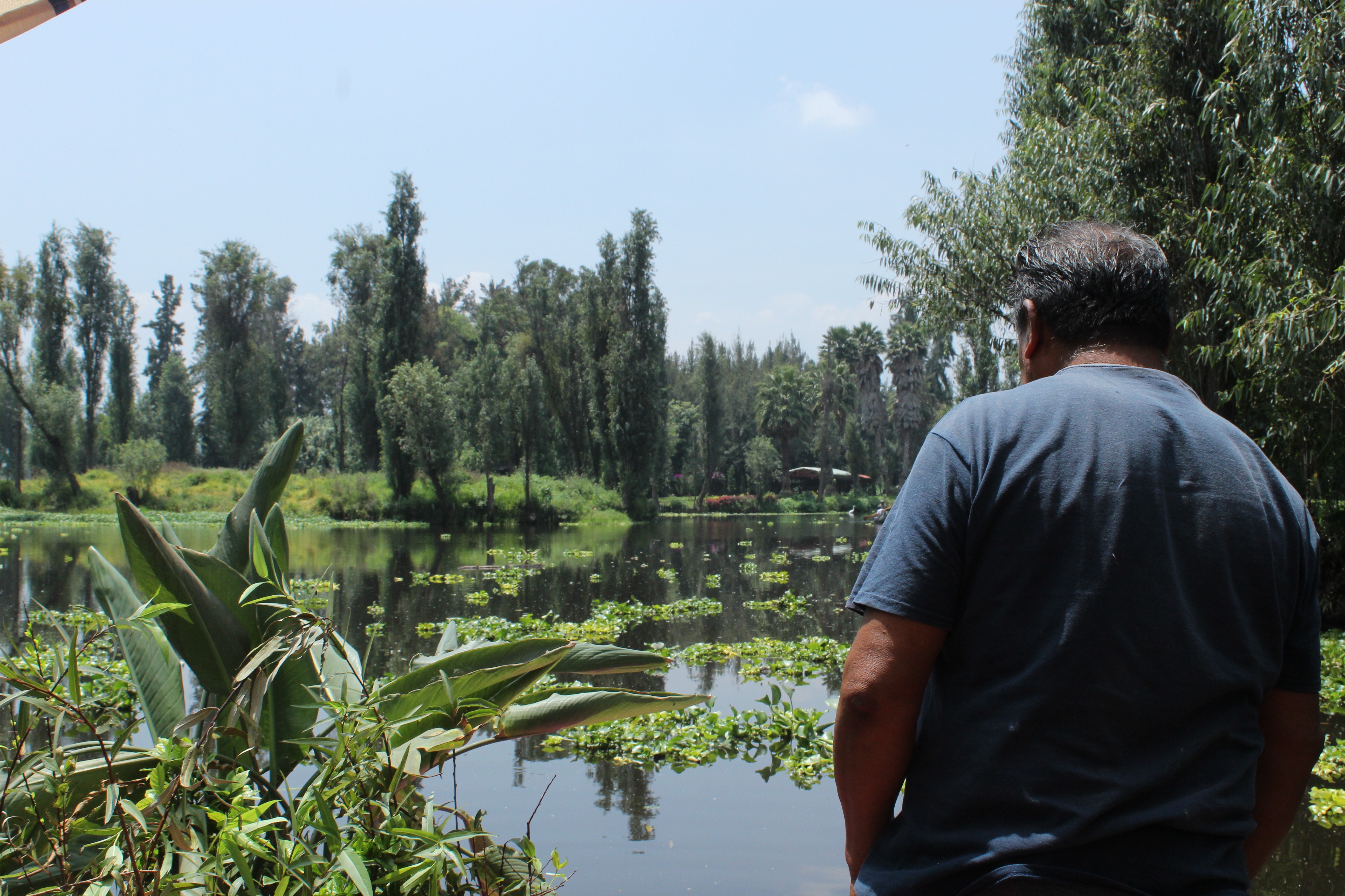 Salvemos Xochimilco: Raíces que Dan Vida campaign photo, 5 of 7