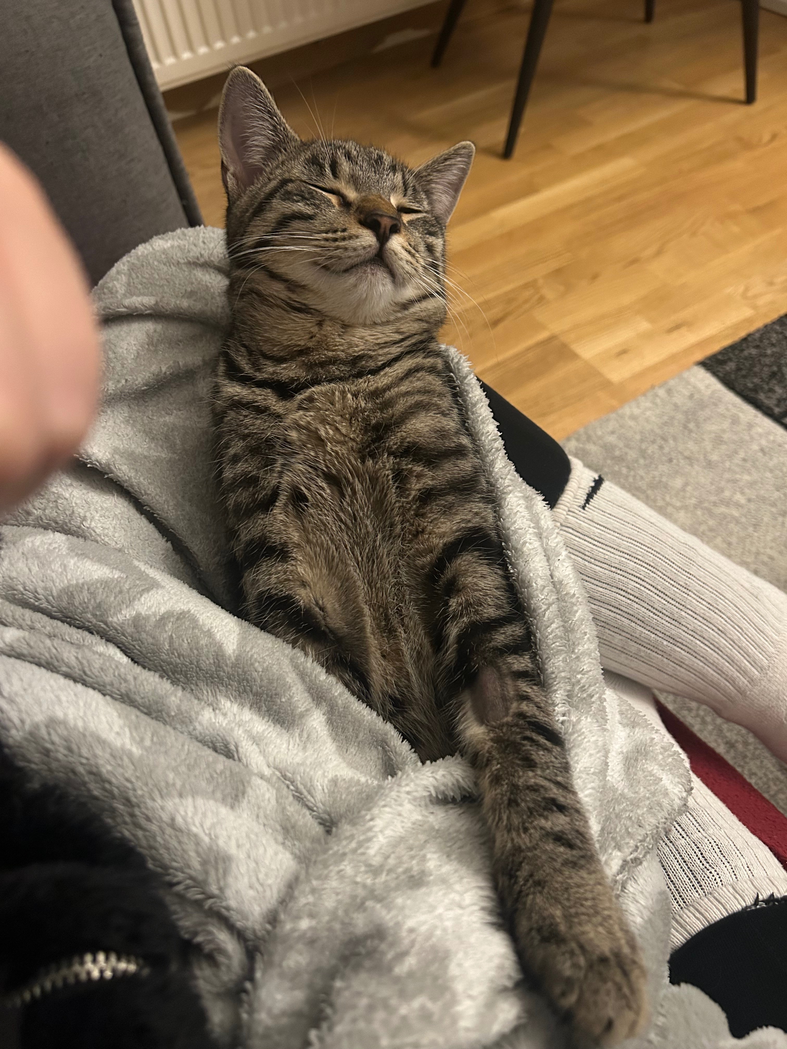 Vom Nutzer hochgeladenes Bild 1