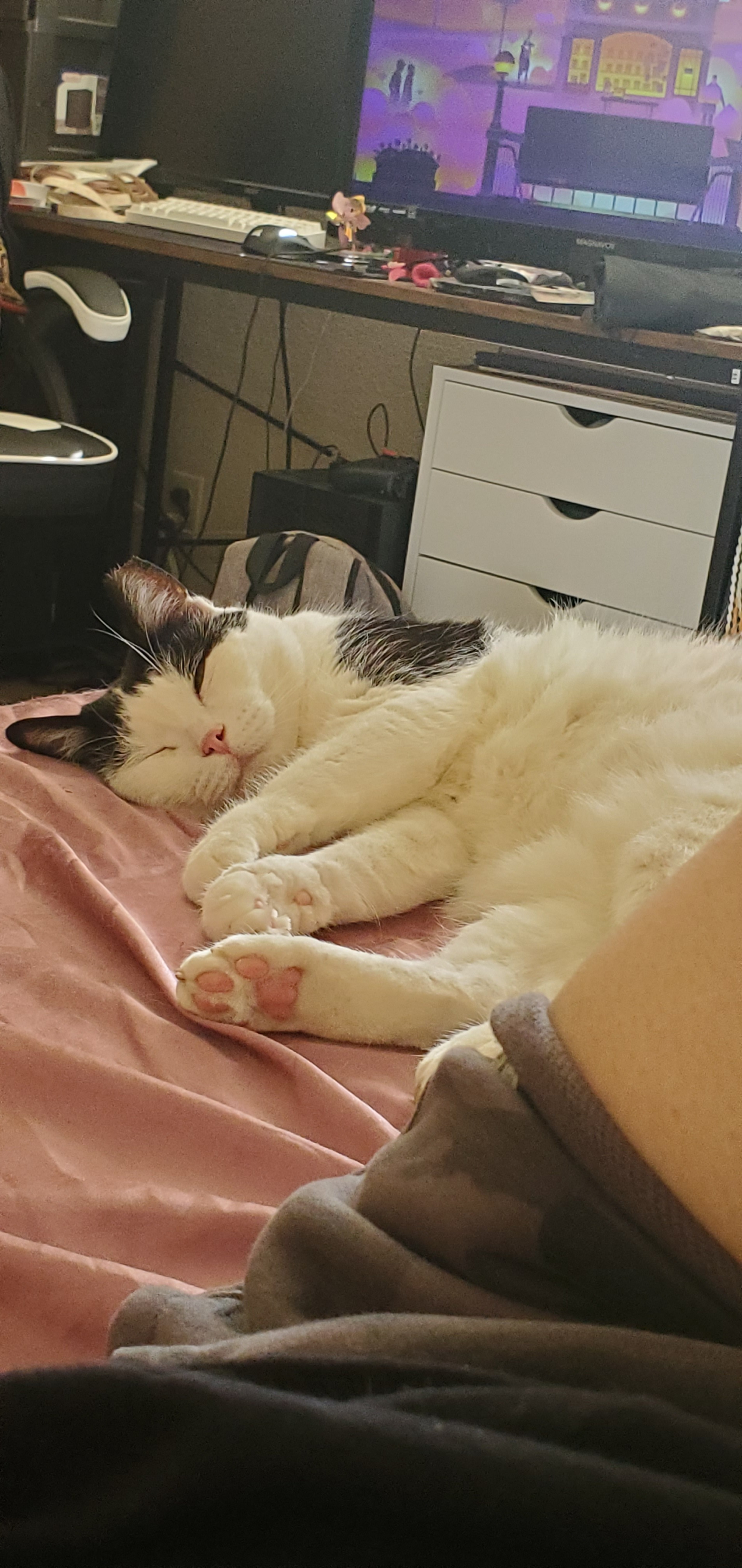 Donate to Save Linsey: Critical Care Required campaign photo, 7 of 7