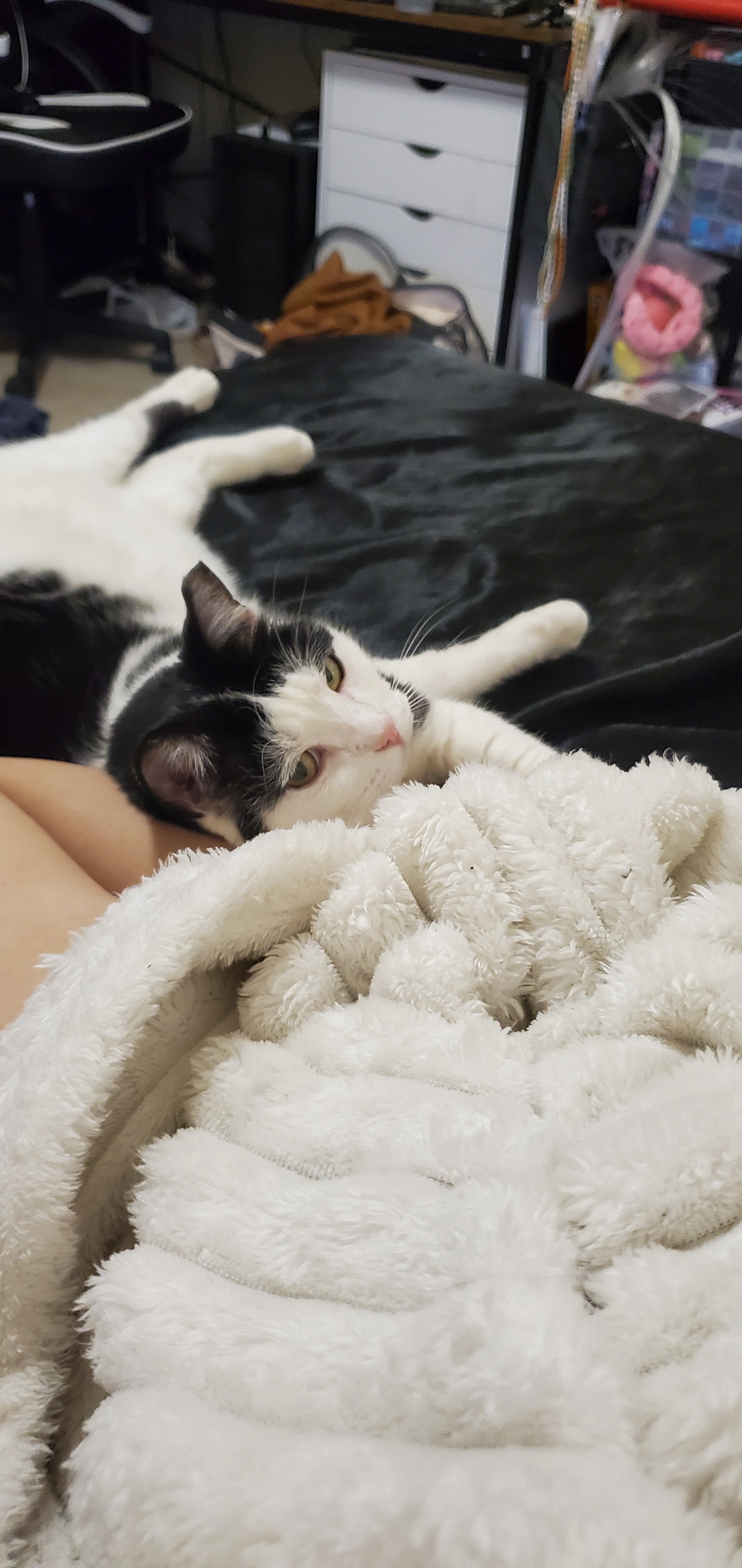 Donate to Save Linsey: Critical Care Required campaign photo, 2 of 7
