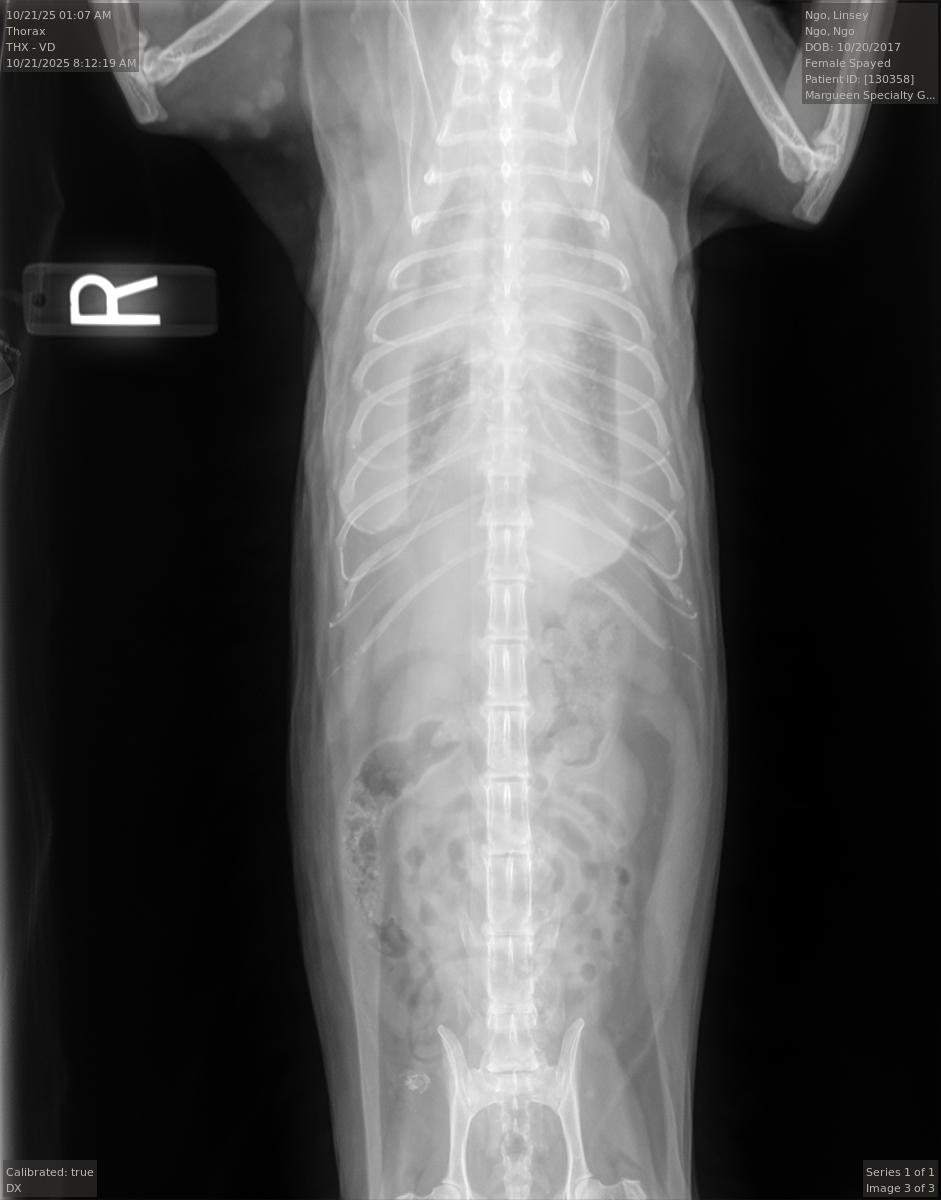 Donate to Save Linsey: Critical Care Required campaign photo, 6 of 7