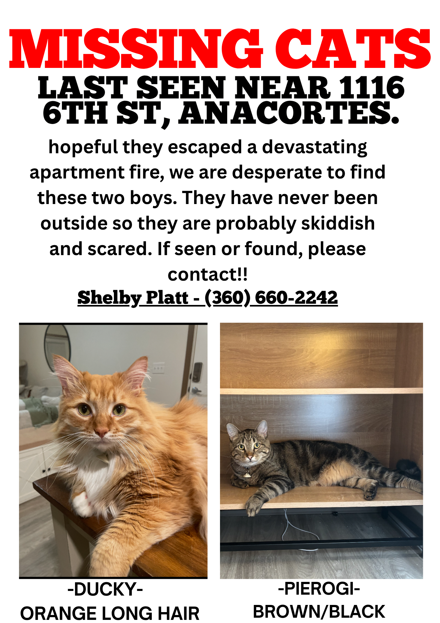 Support Needed After Devastating Fire campaign photo, 7 of 8