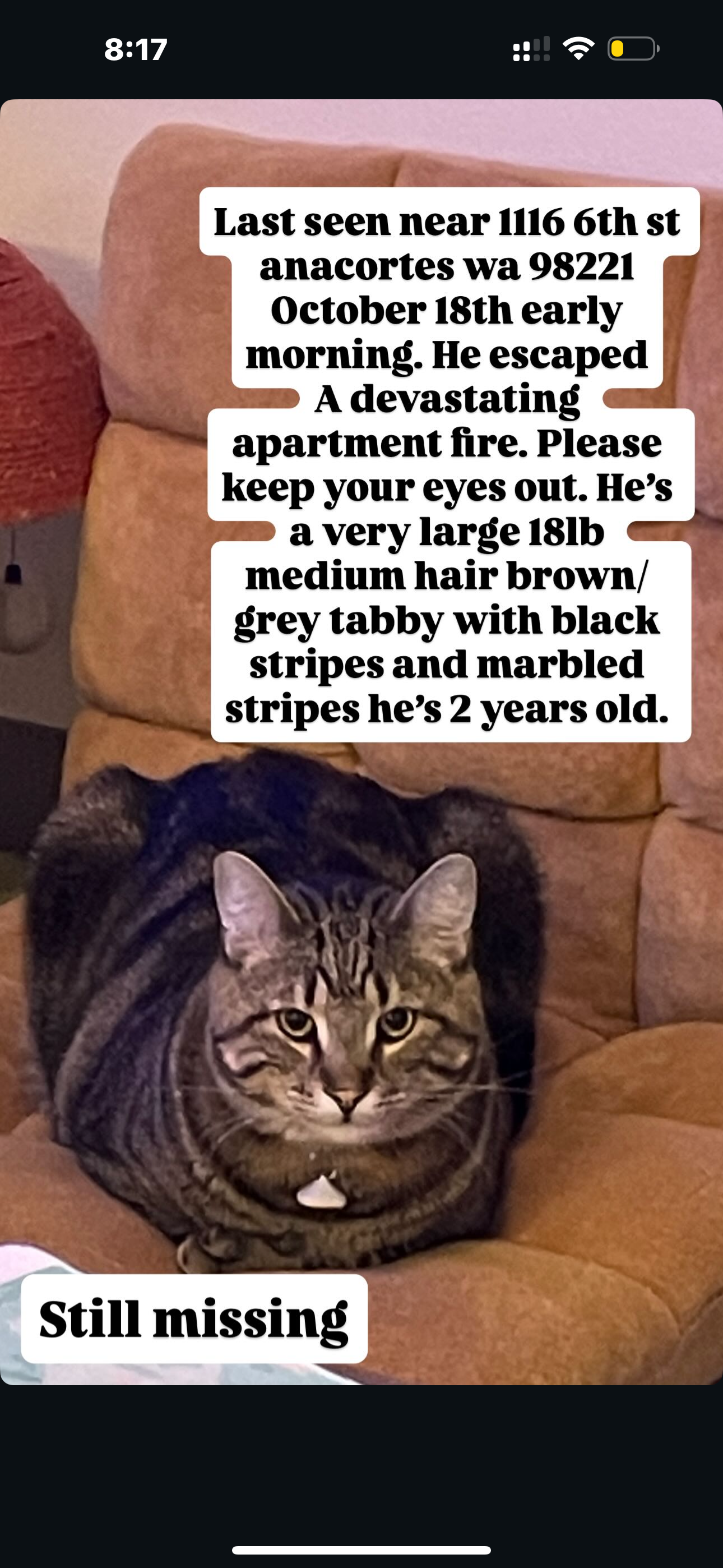 Support Needed After Devastating Fire campaign photo, 4 of 8