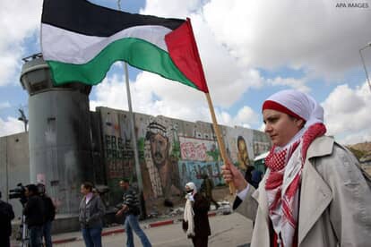 User-uploaded image 1