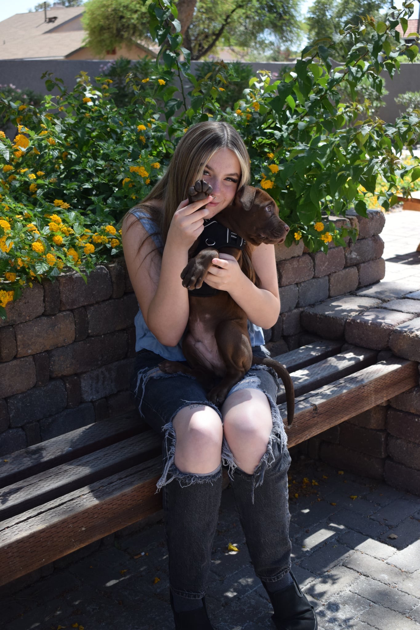 Help Woody Get Life-Saving Surgery campaign photo, 2 of 7