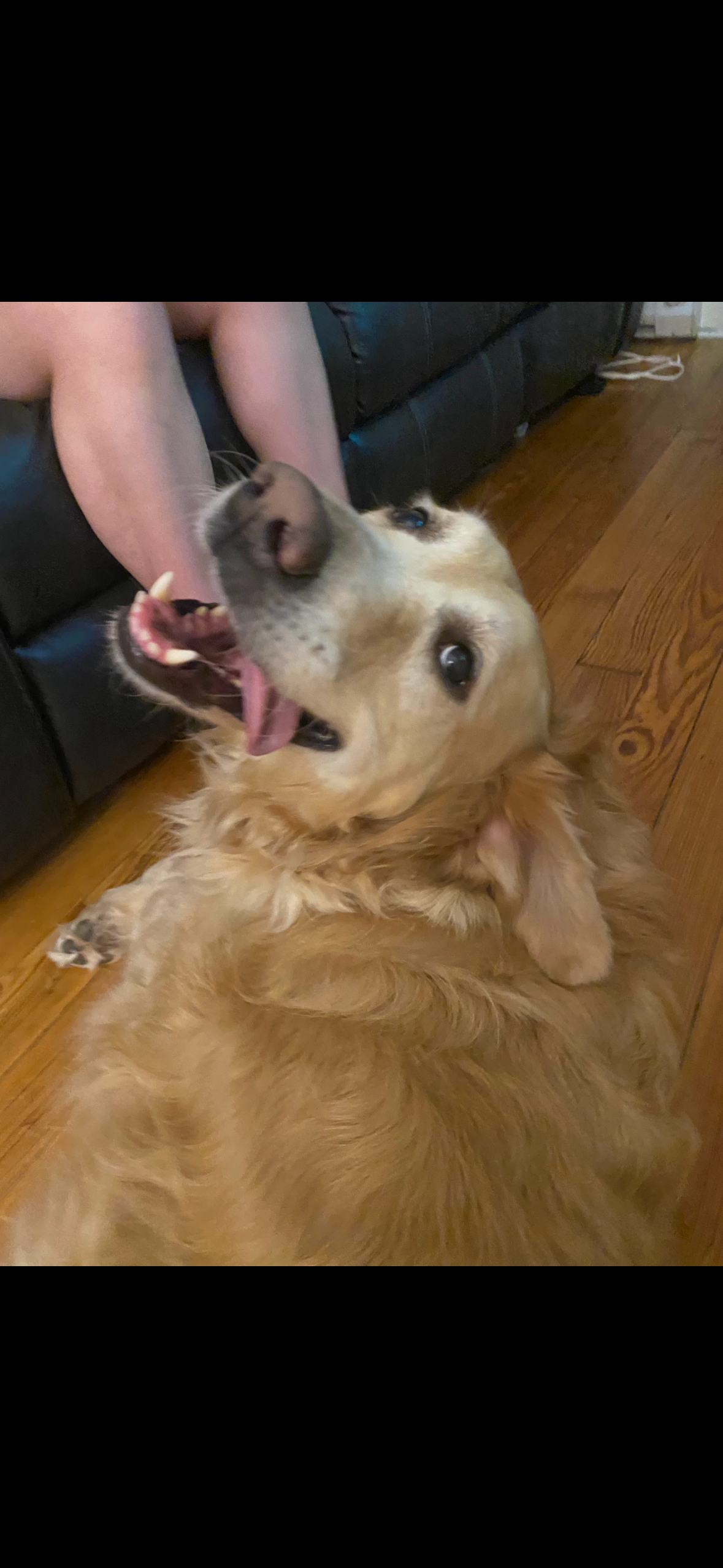 Support Margo's Battle with Angiosarcoma campaign photo, 4 of 8