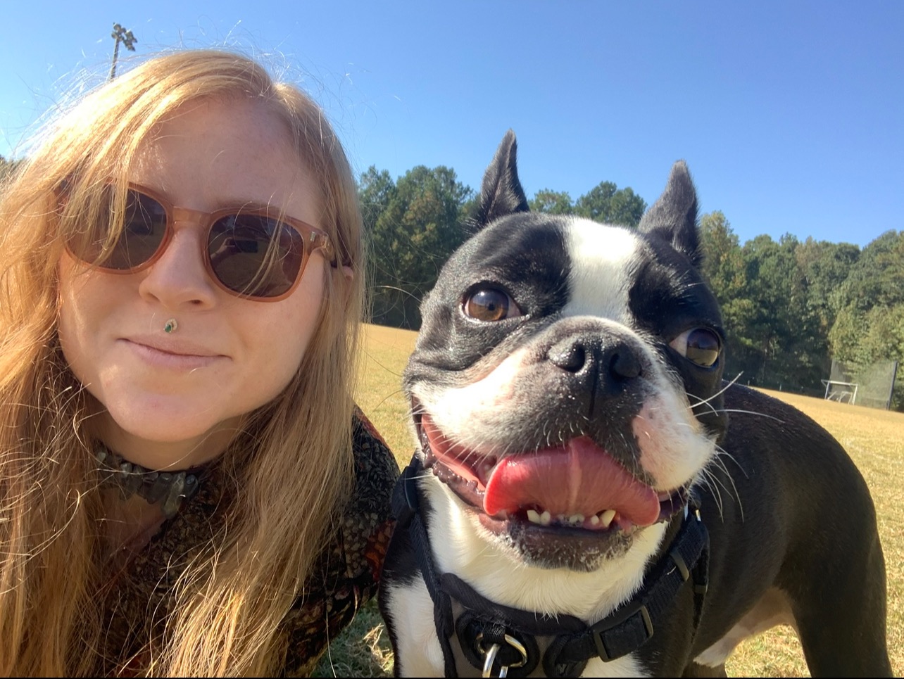 Help Cover Teddy's Vet and Cremation Costs campaign photo, 5 of 7
