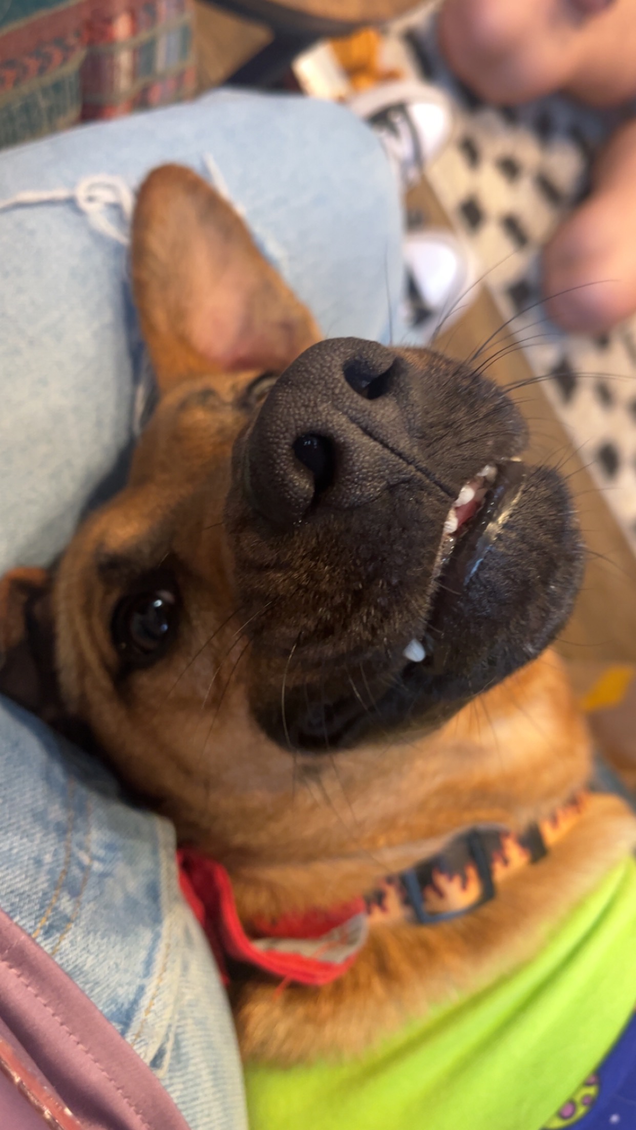 Support Kushion's Life-Saving Surgery campaign photo, 2 of 8