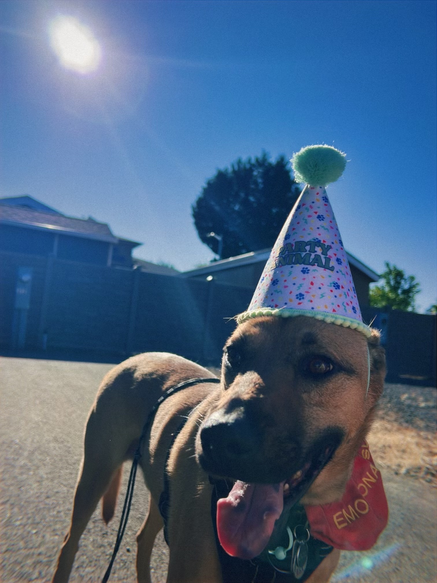 Support Kushion's Life-Saving Surgery campaign photo, 5 of 8
