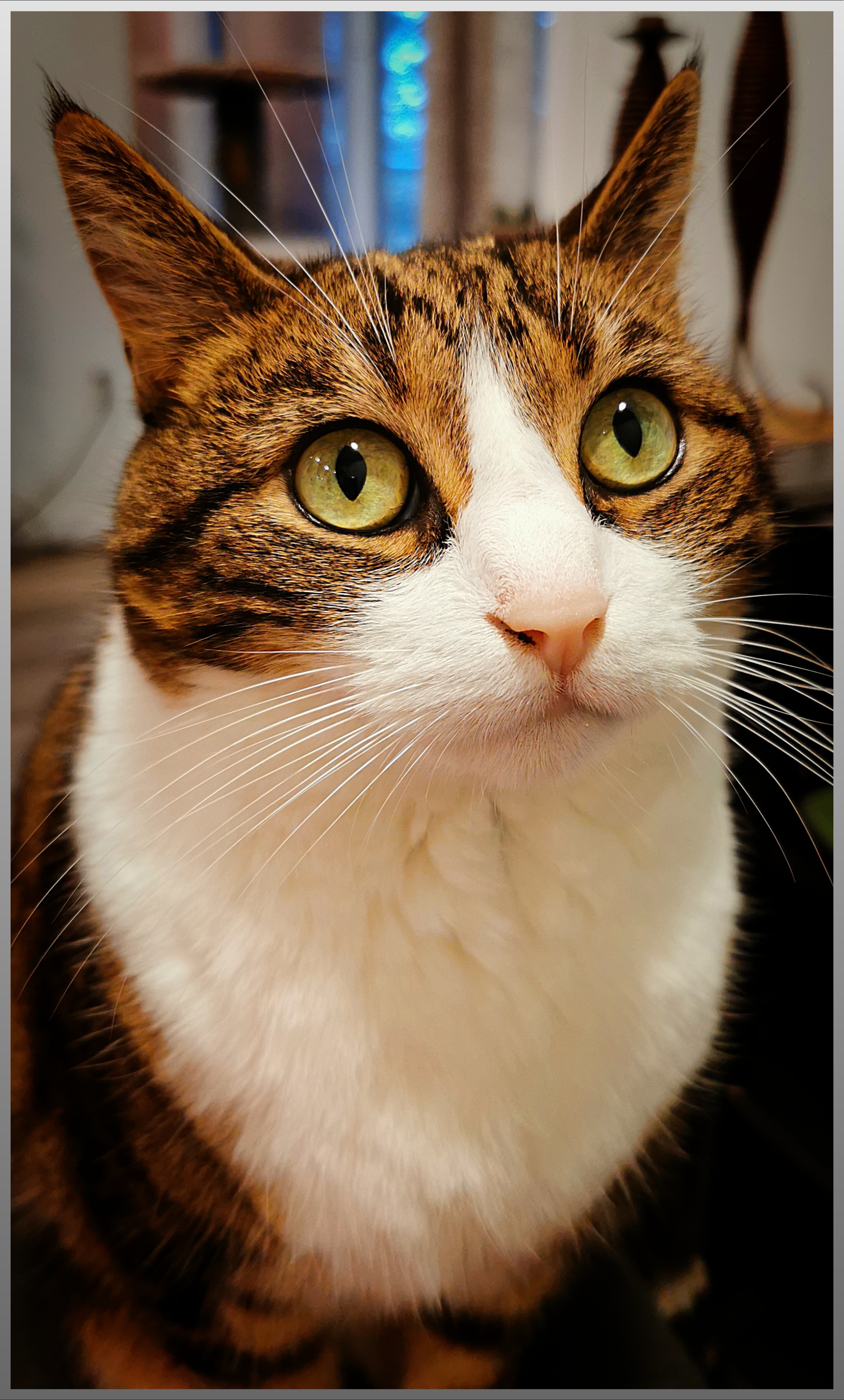 Nera's Hospital Bills campaign photo, 2 of 7