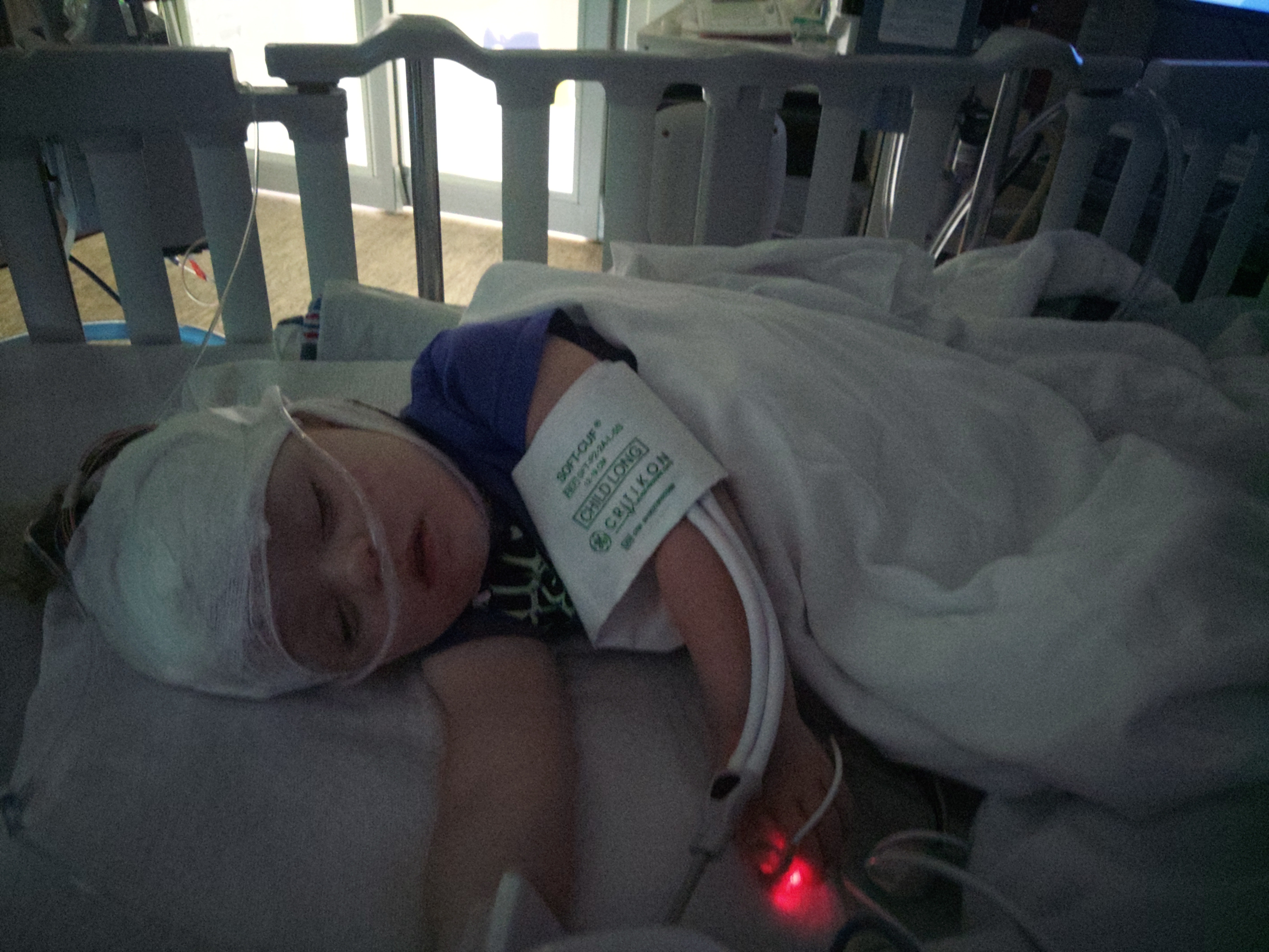 Support Eleanor's Journey to Recovery campaign photo, 2 of 7