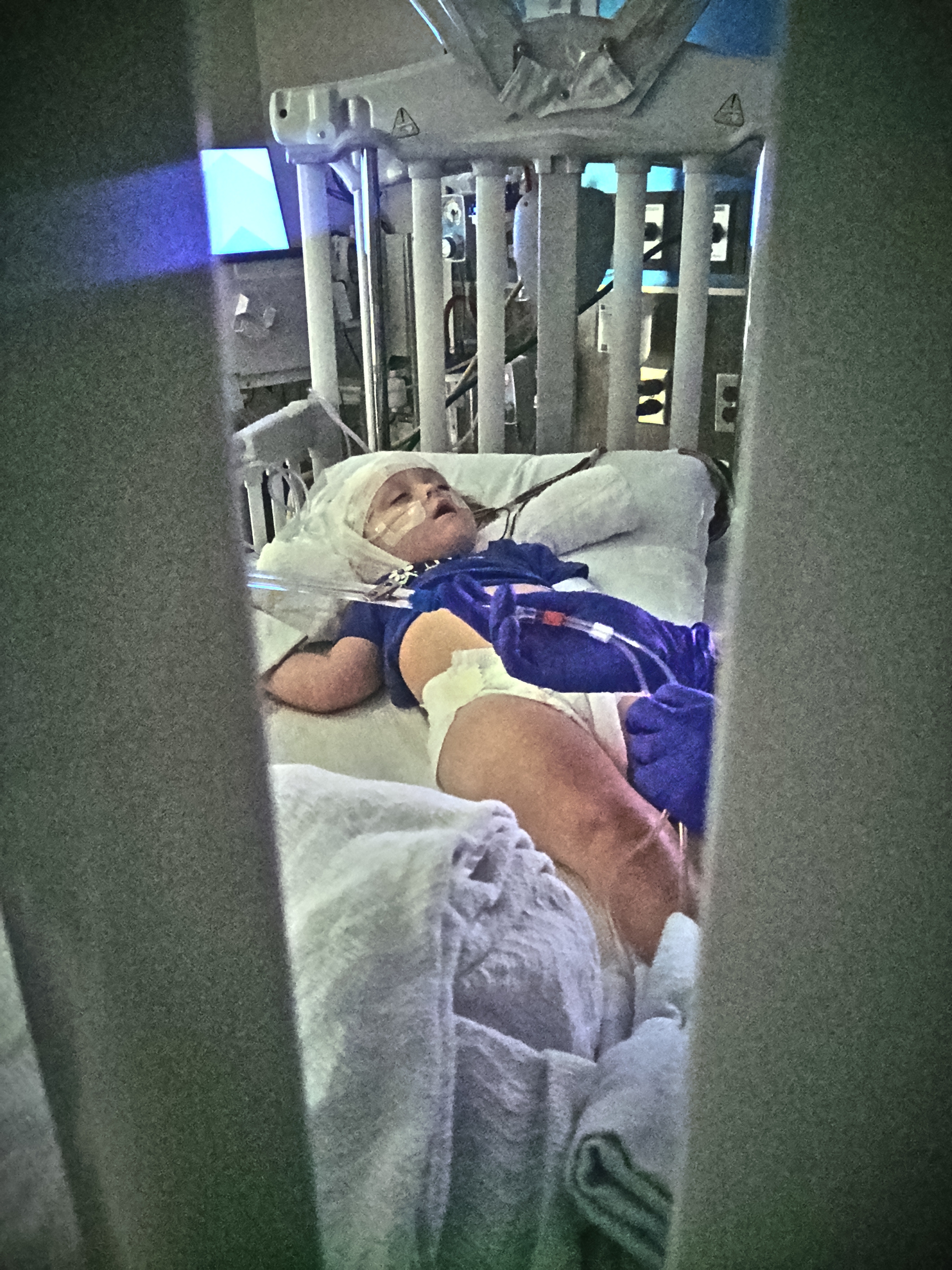 Support Eleanor's Journey to Recovery campaign photo, 4 of 7