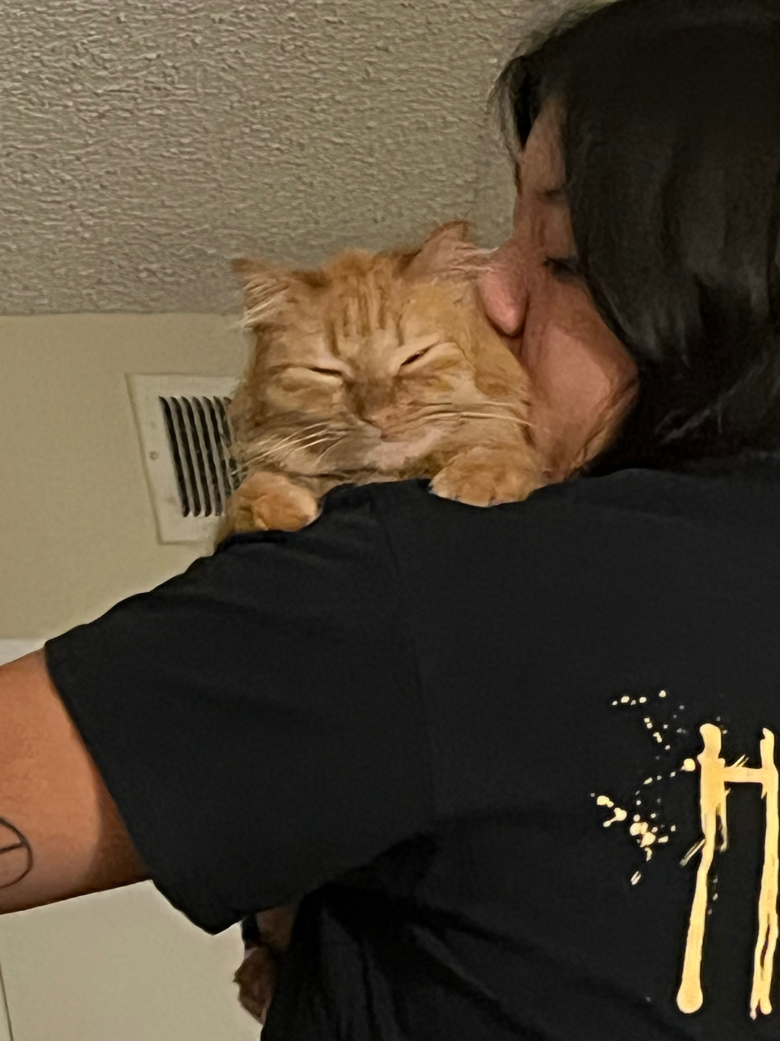 Urgent Vet Care for my baby campaign photo, 4 of 8