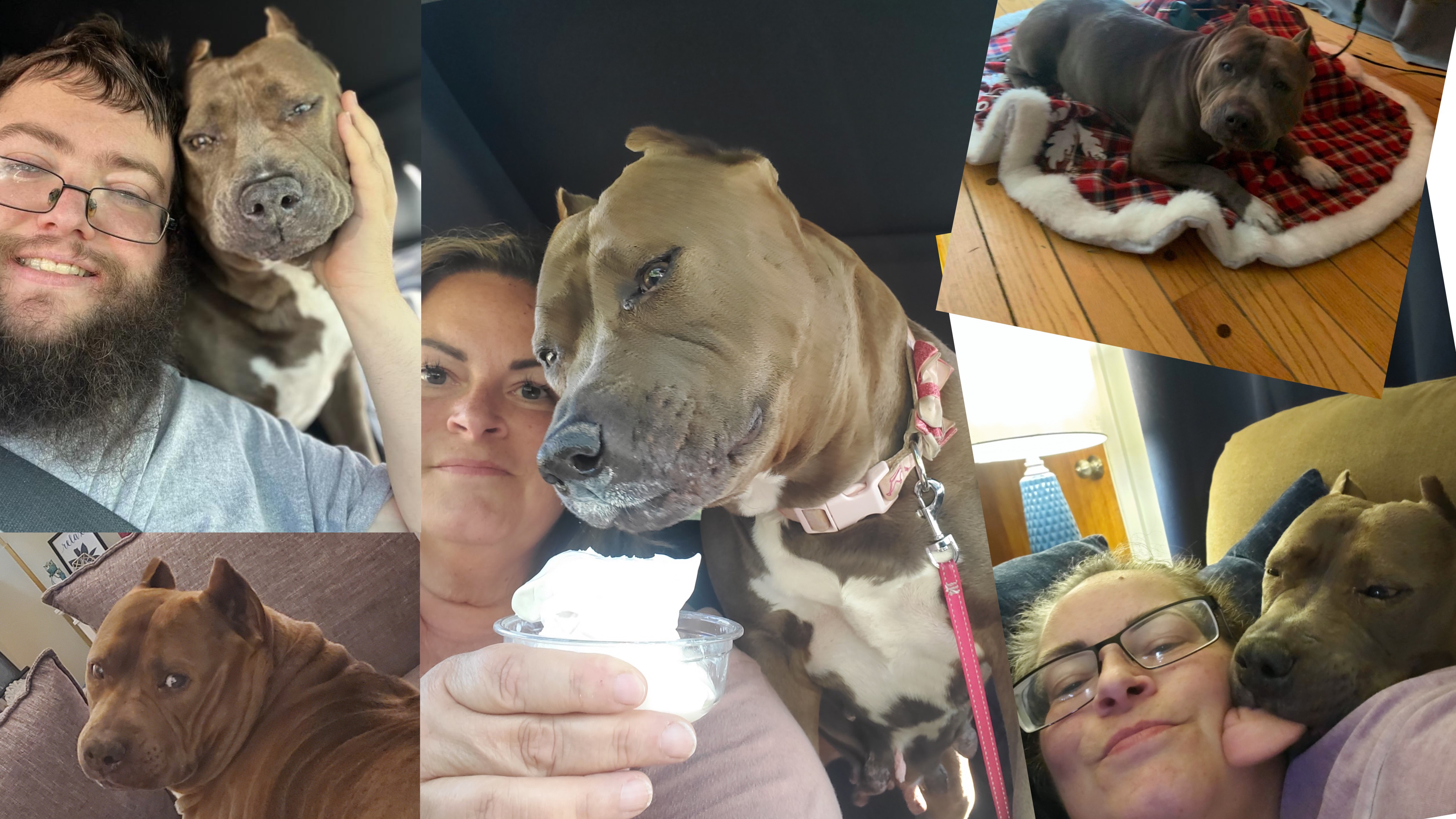 Help with Vet Expenses and losing Jeanie campaign photo, 2 of 4
