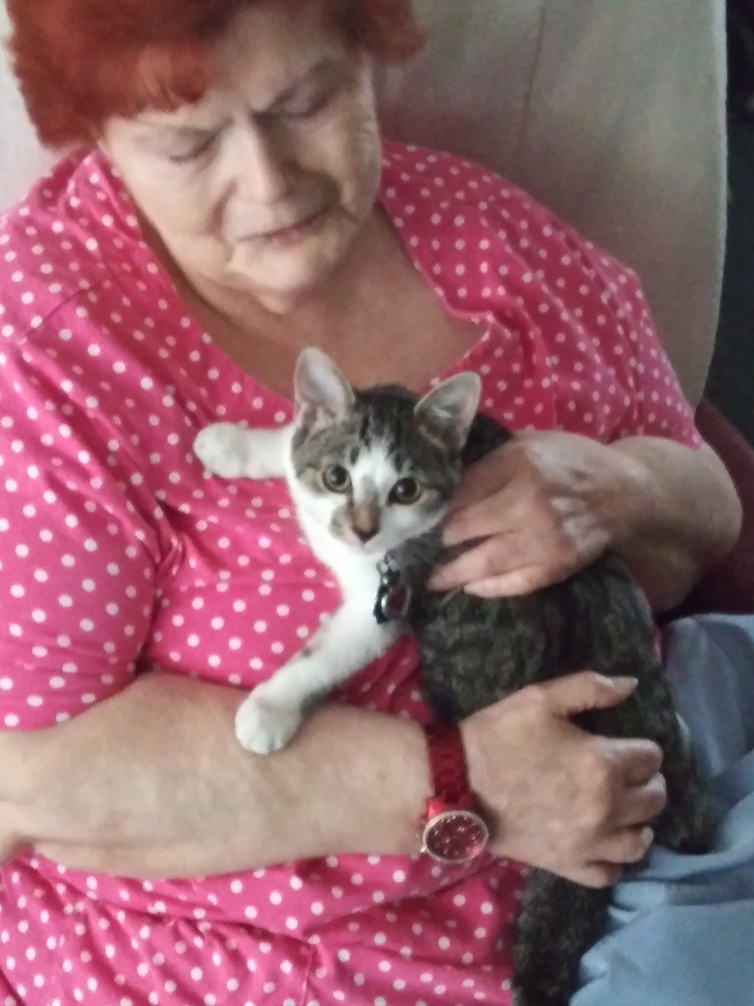 Please Help with our Mom Sharon Joann Dennis' Final Expenses campaign photo, 4 of 8