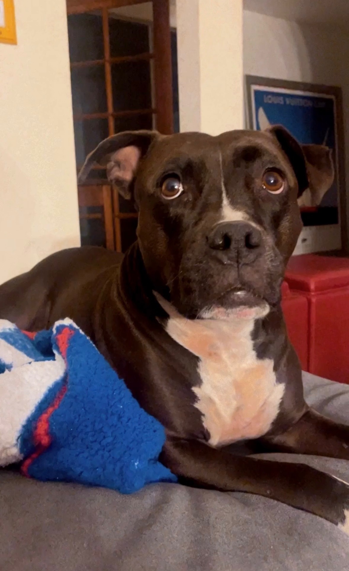 User-uploaded image 1