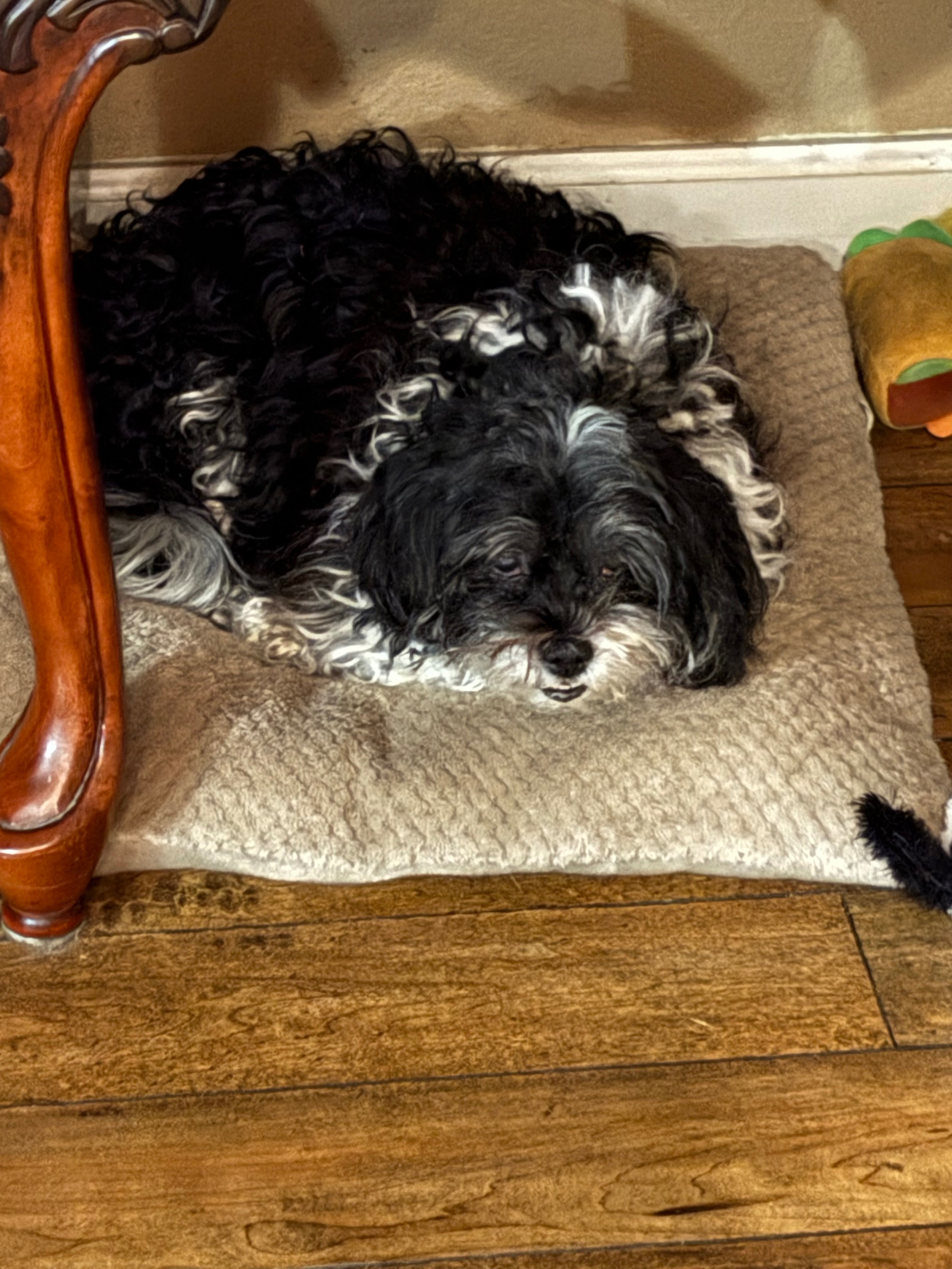 User-uploaded image 1