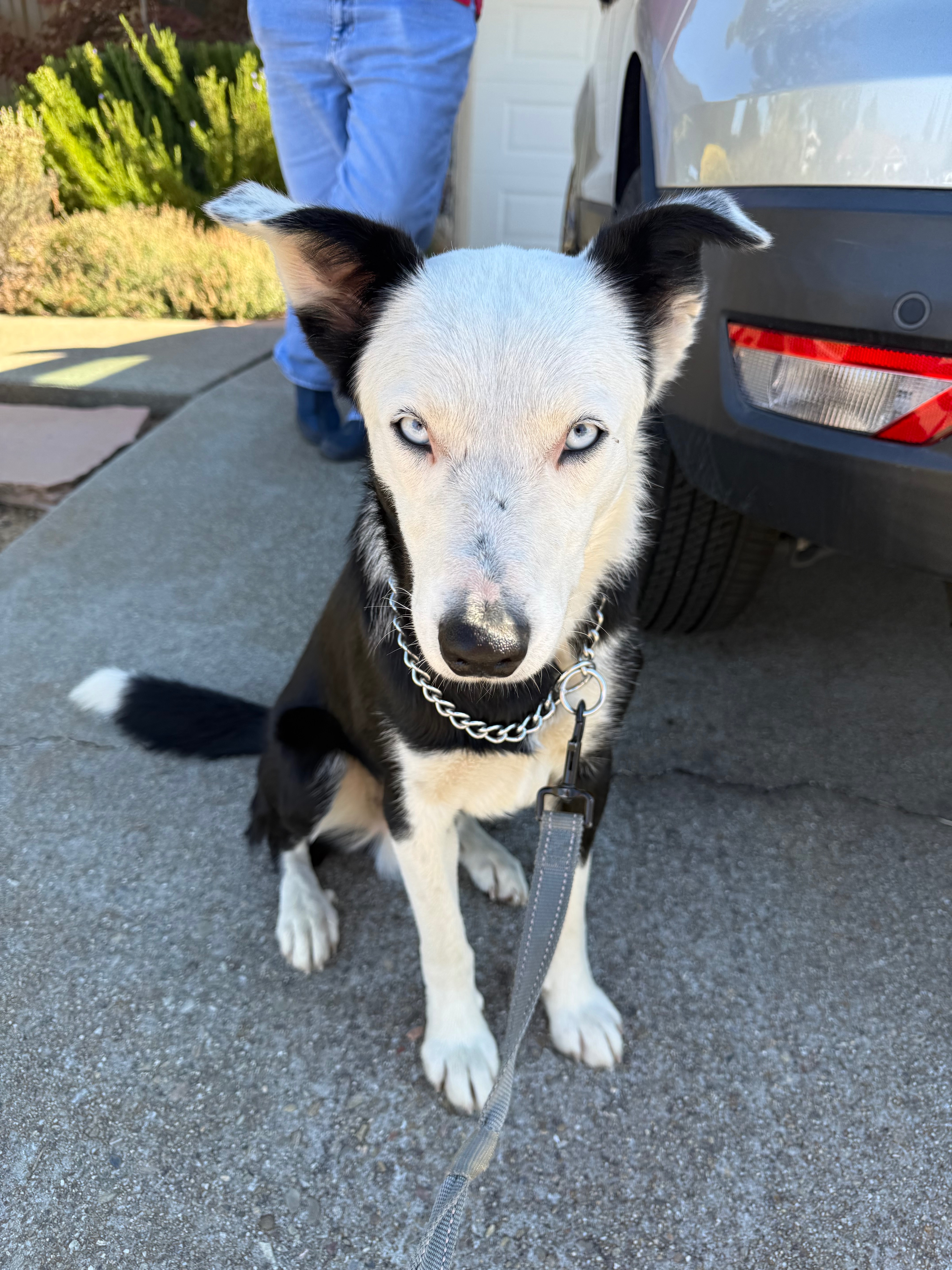 User-uploaded image 1