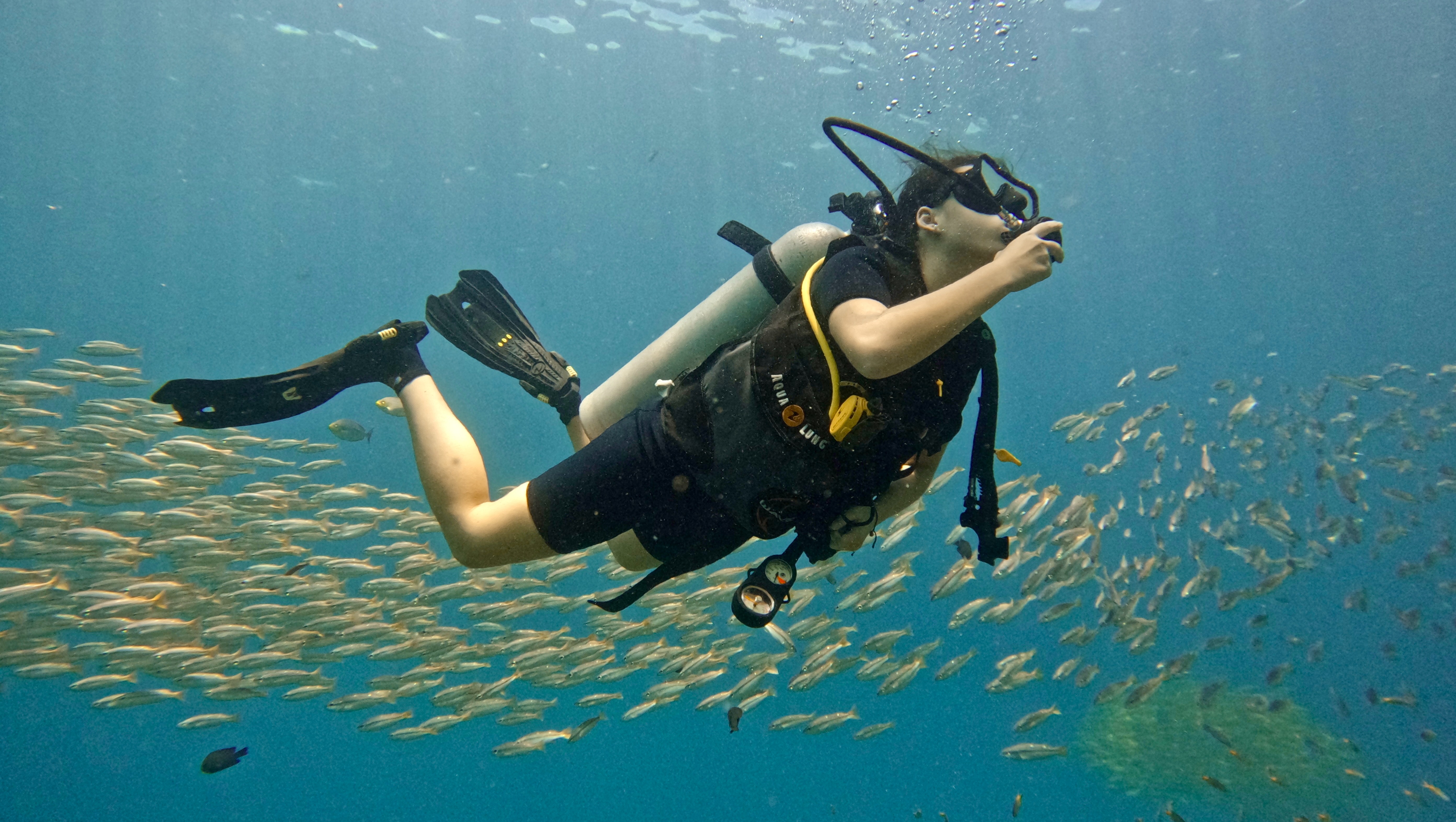 Support Maia's Coral Renewal Internship in Thailand