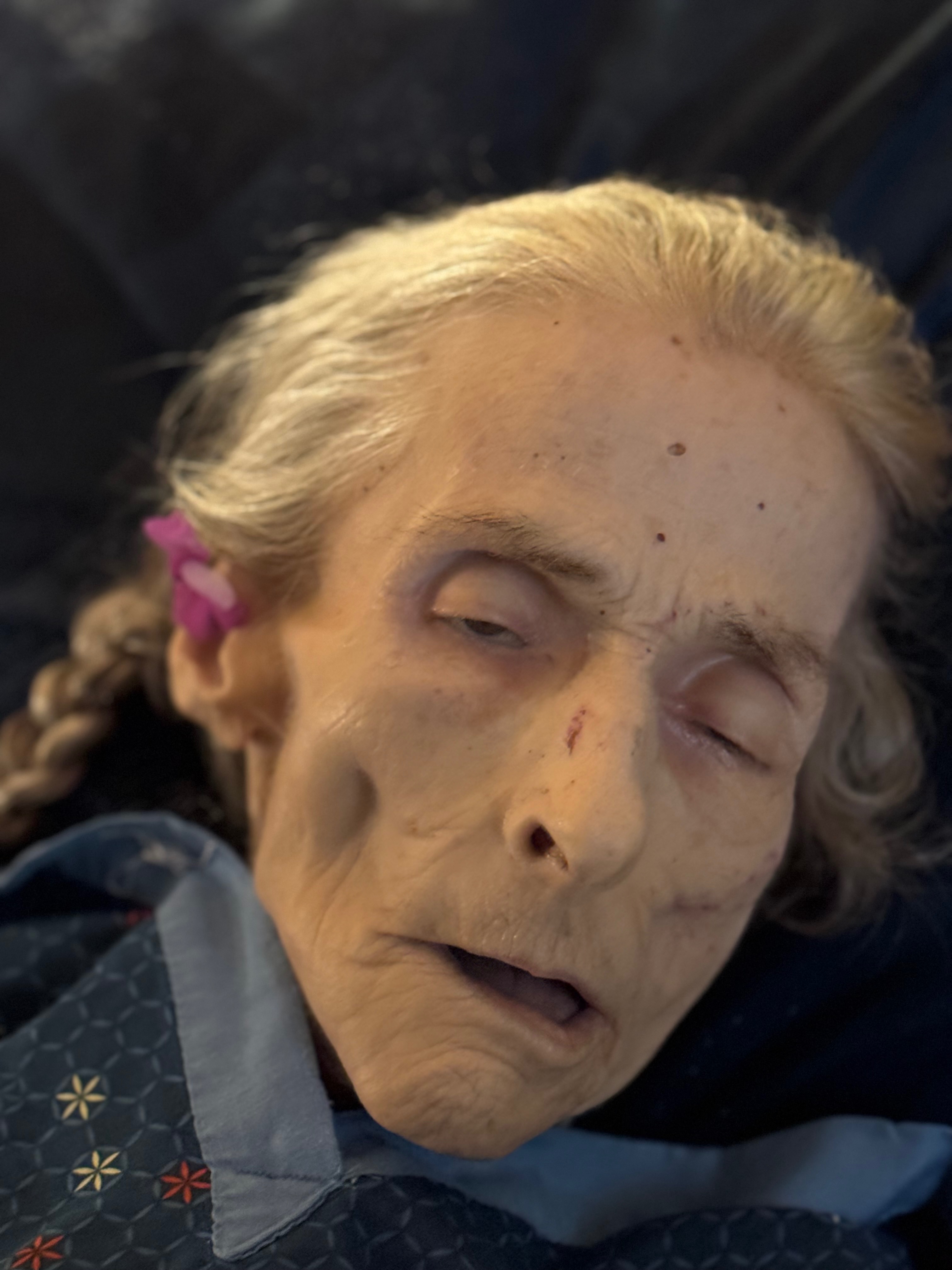 Support Denise R Logan's Final Journey campaign photo, 4 of 7