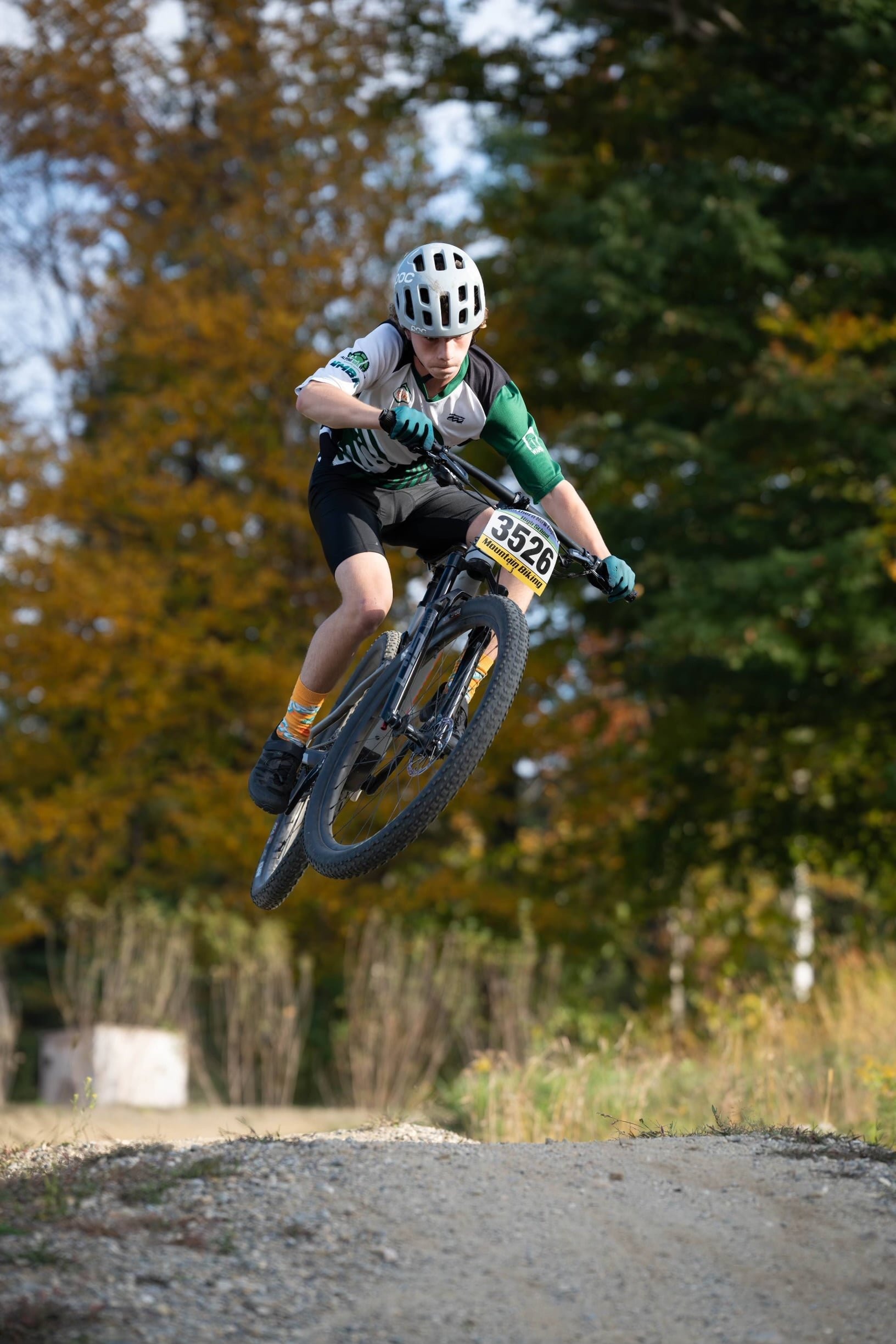 User-uploaded image 1