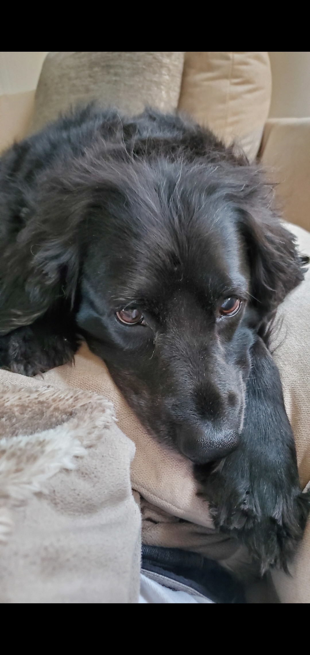 User-uploaded image 1