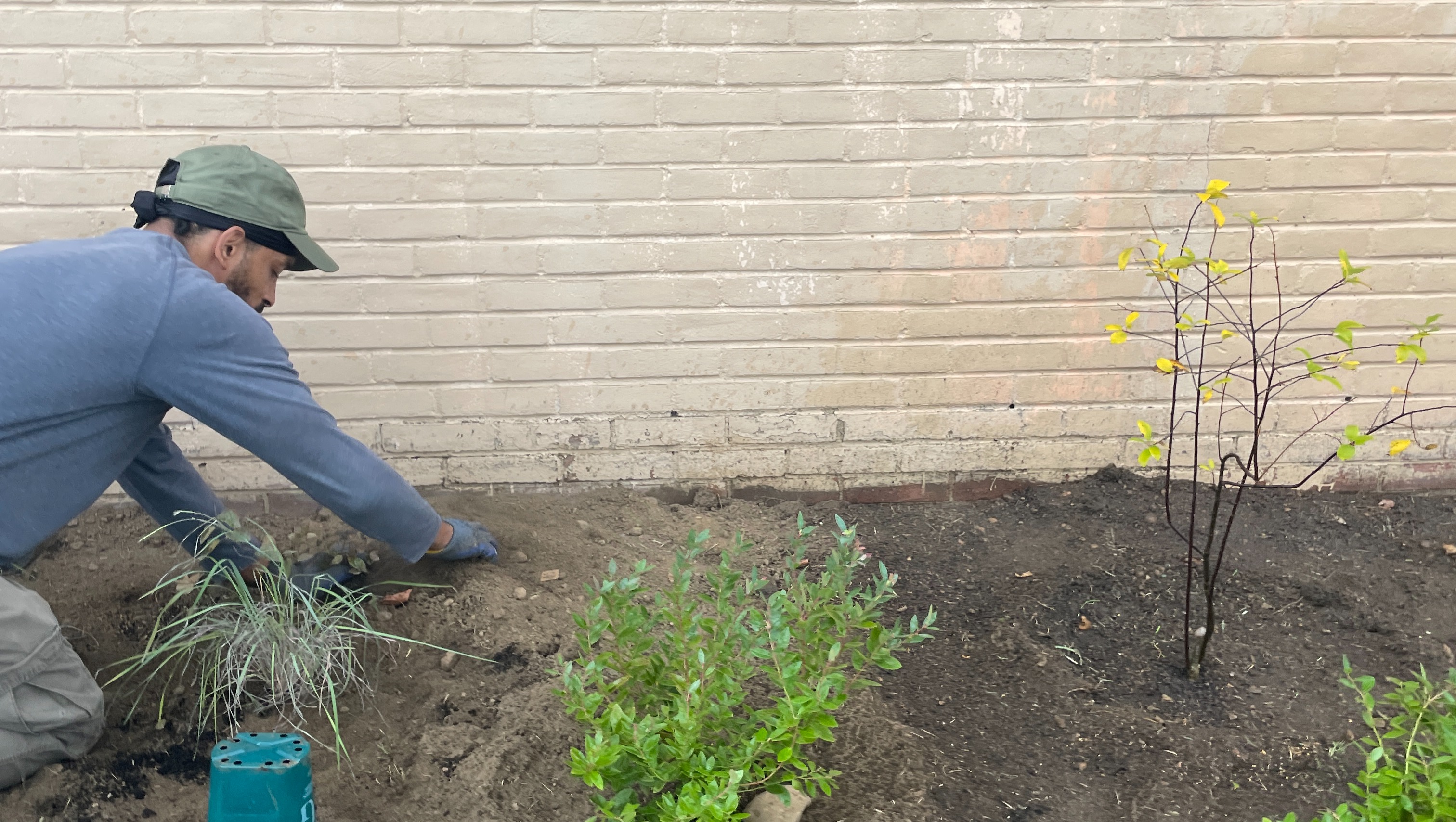 Fundraiser by TJ Arrington : Support Our New Native Plant & Pollinator ...