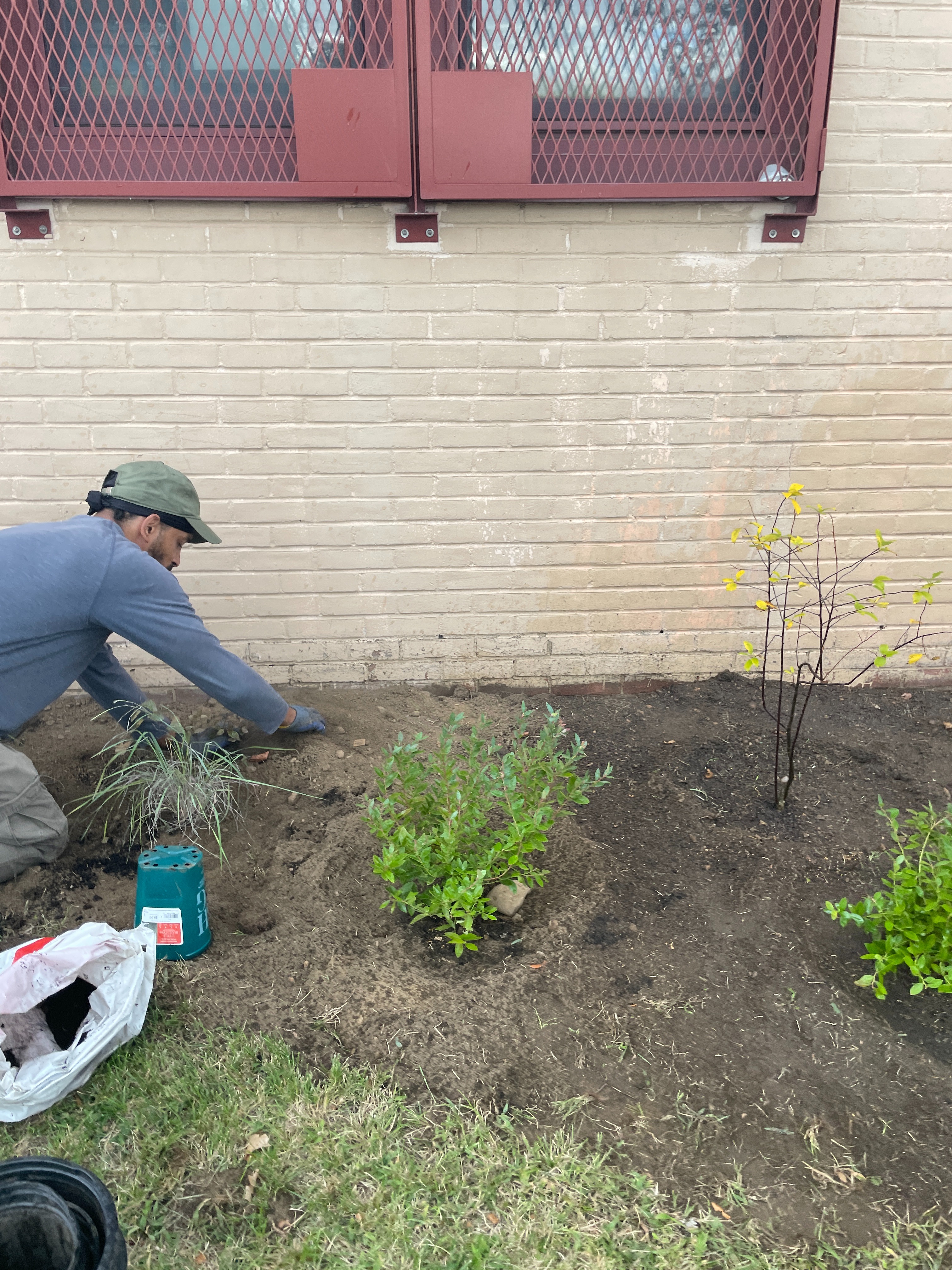 Fundraiser by TJ Arrington : Support Our New Native Plant & Pollinator ...