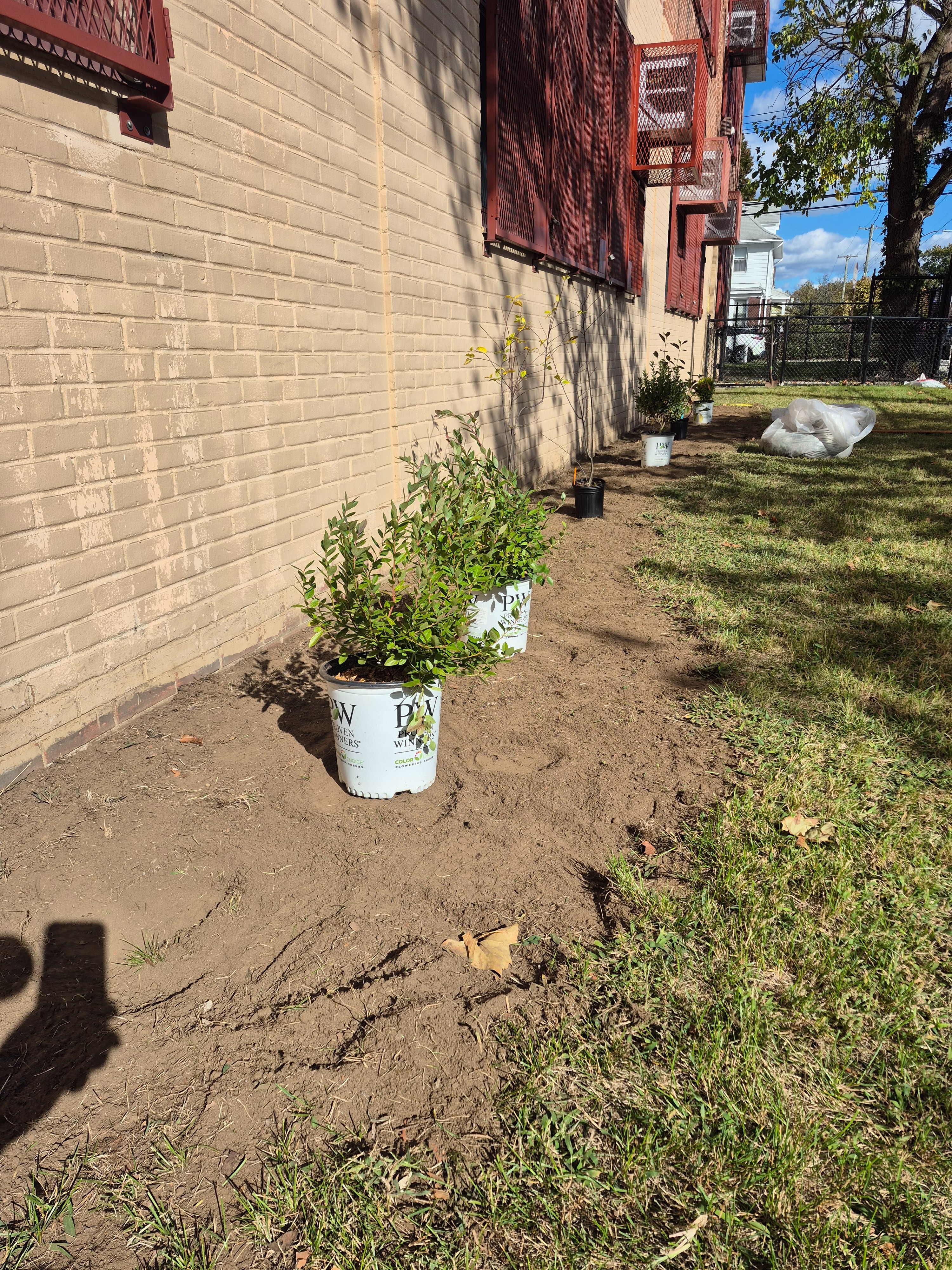 Is192 Fundraiser by TJ Arrington : Support Our New Native Plant & Pollinator ...
