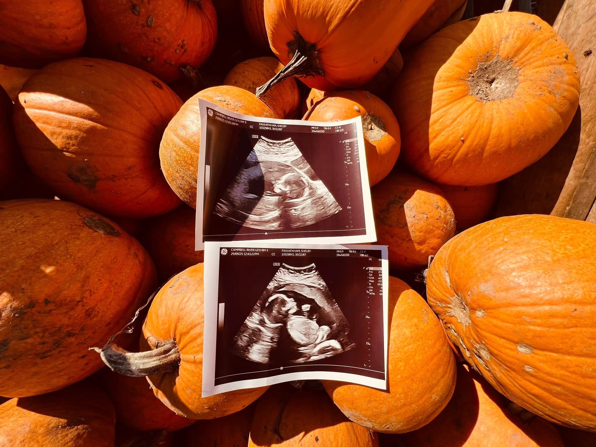 User-uploaded image 1