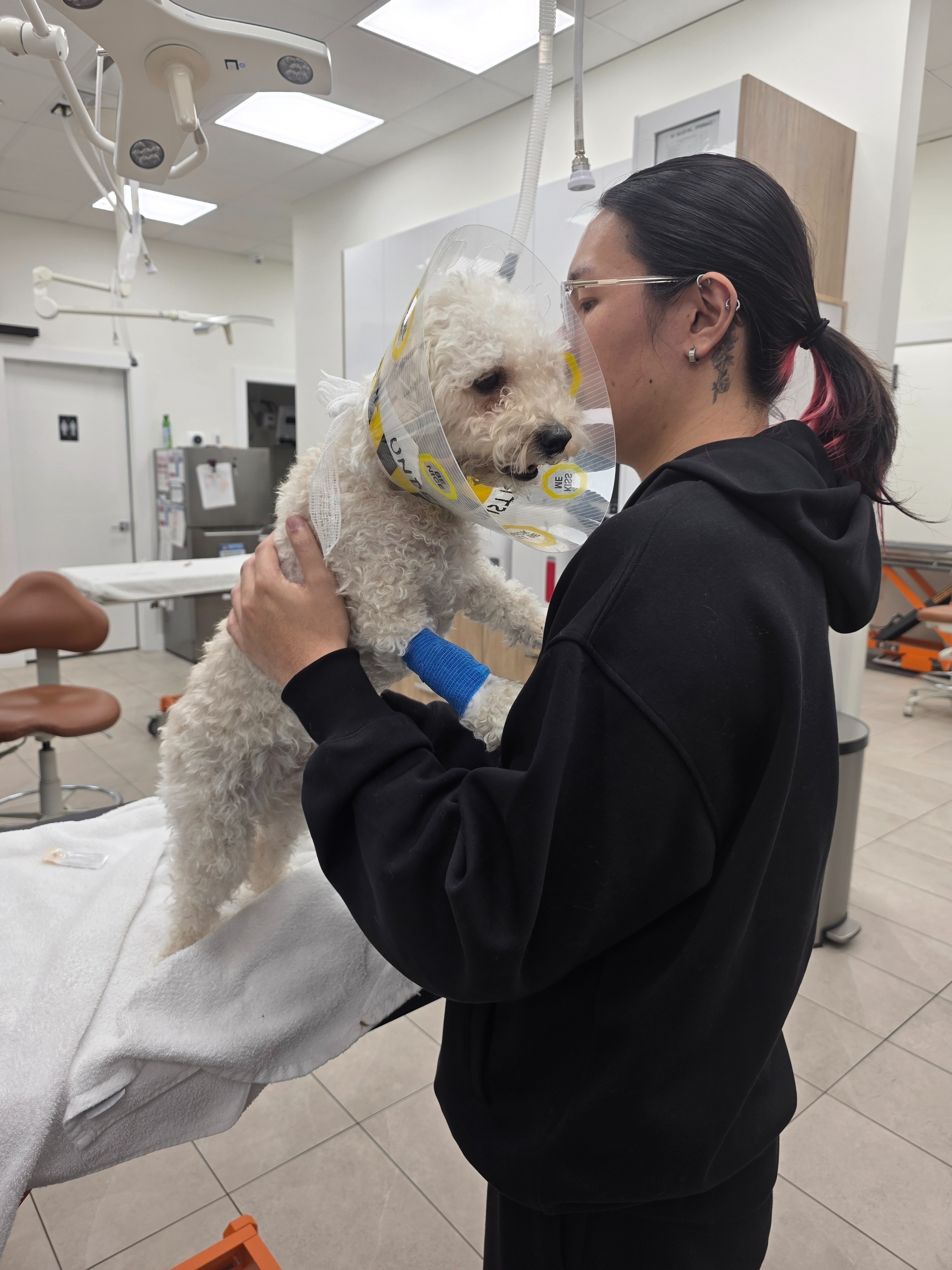 Peanut's Medical Treatment campaign photo, 2 of 8