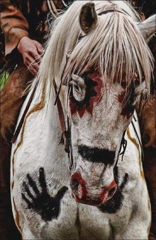 Support Braids2Manes: Safe Haven for Healing with Horses campaign photo, 2 of 8