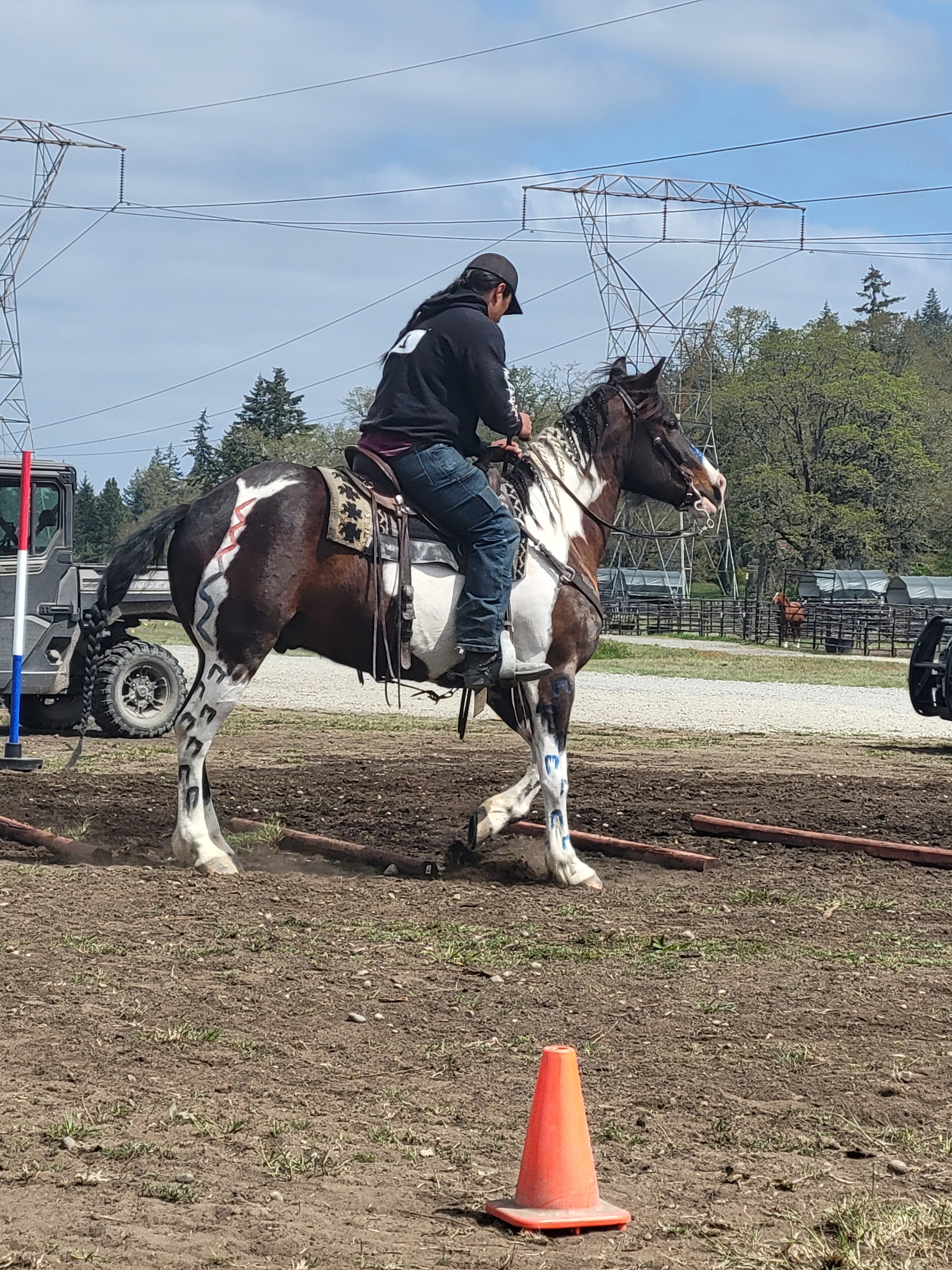 Support Braids2Manes: Safe Haven for Healing with Horses campaign photo, 4 of 8