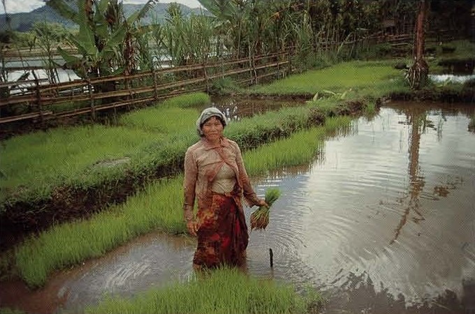 Help Lola make a difference in Borneo 2027 campaign photo, 2 of 8