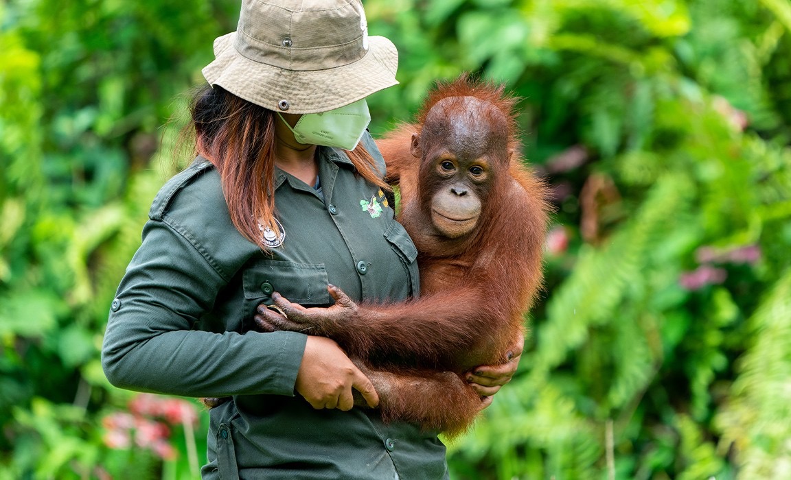 Help Lola make a difference in Borneo 2027 campaign photo, 4 of 8