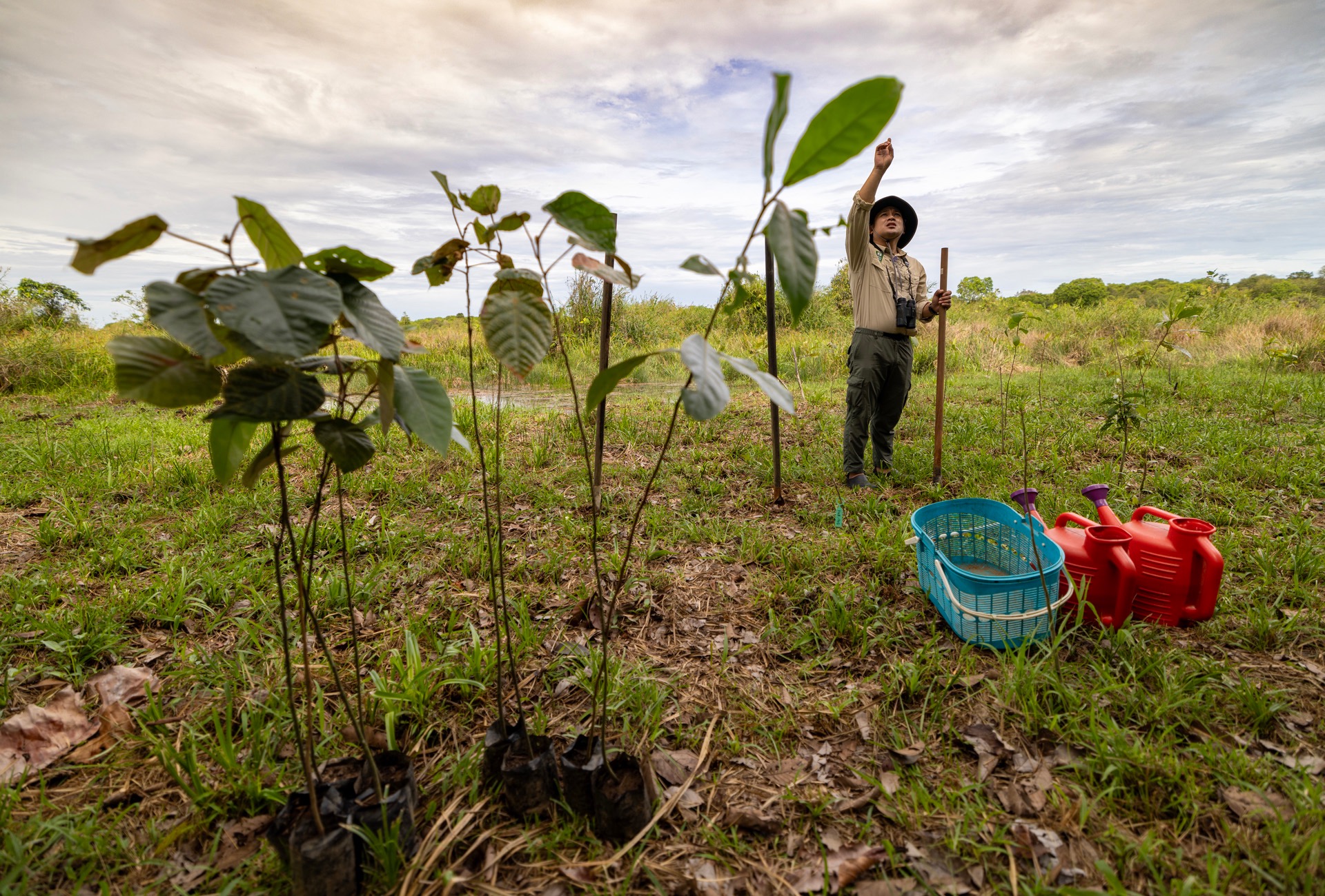Help Lola make a difference in Borneo 2027 campaign photo, 5 of 8