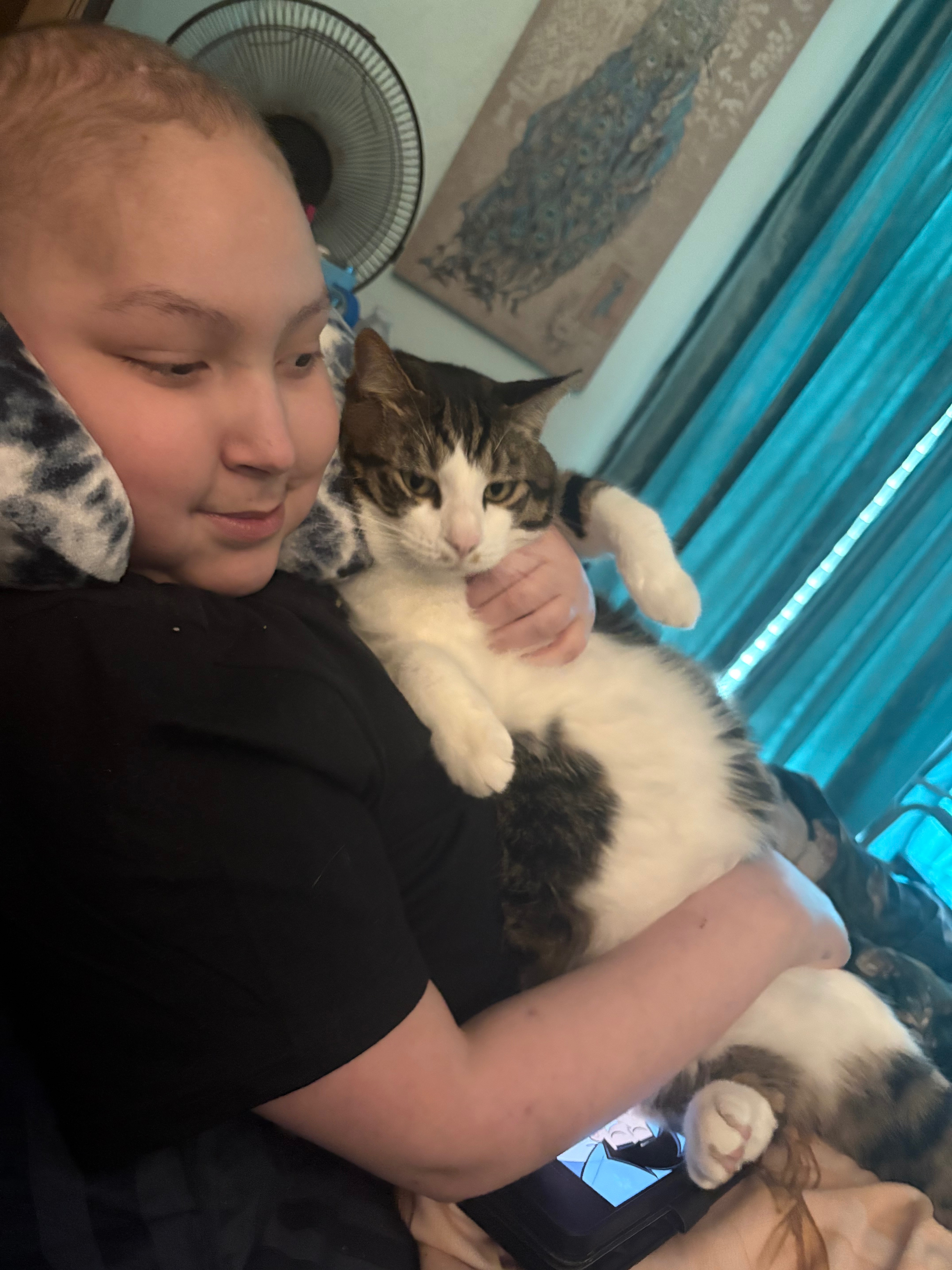 Fundraiser for Mitzi Elaine by Aiko Gibbs : Honoring Tristan: A